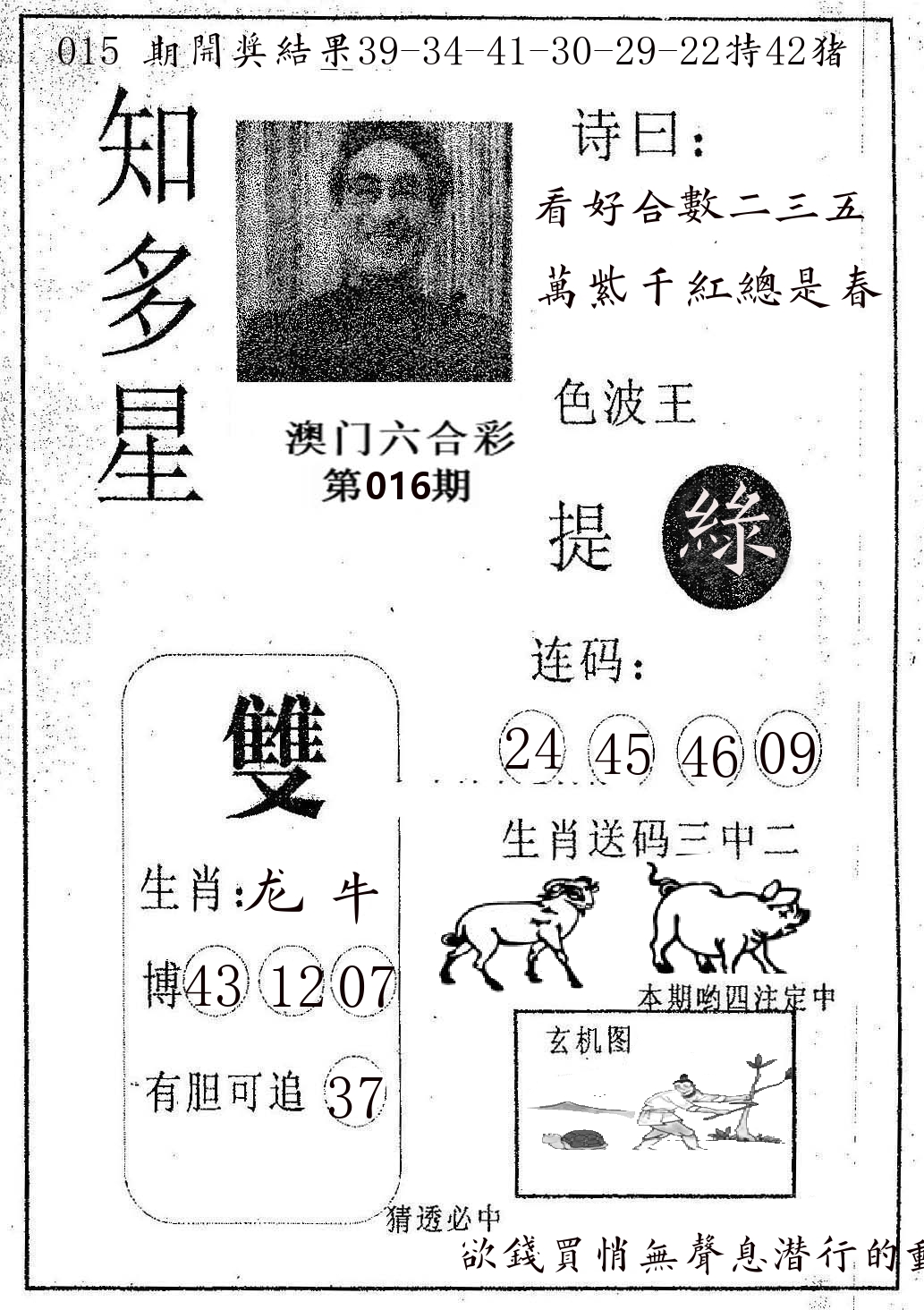 知多星 第16期