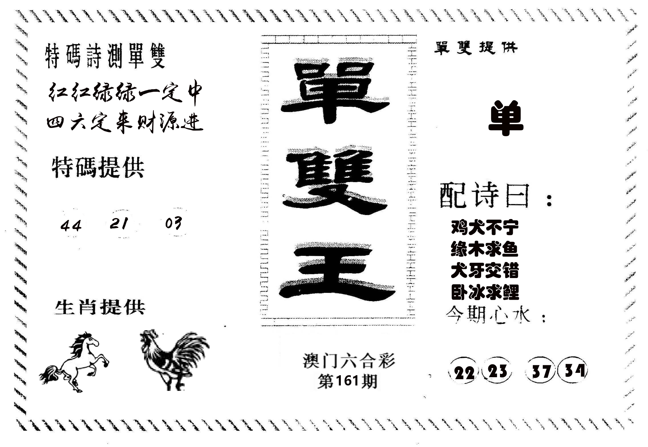 单双王B 第161期