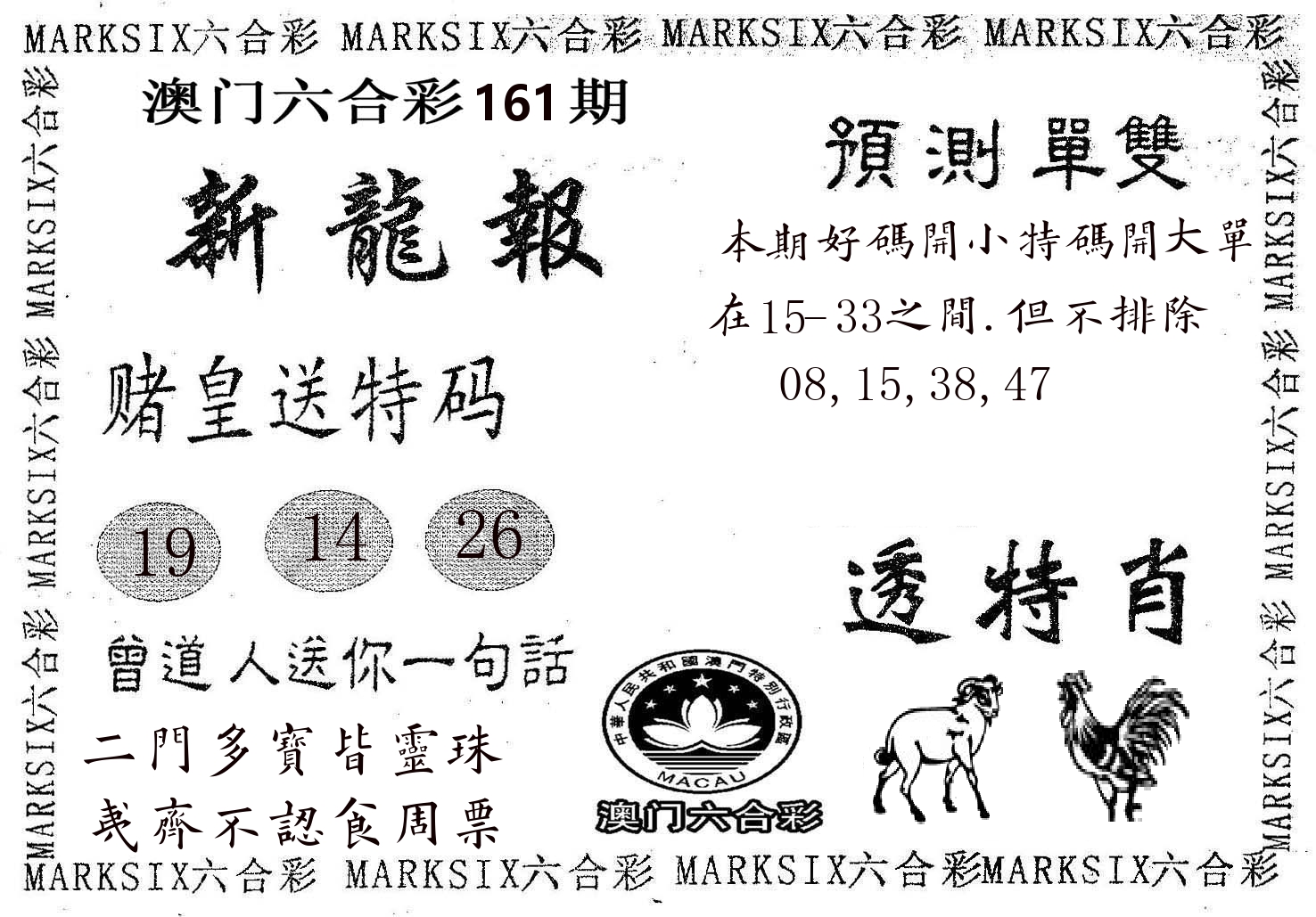新龙报 第161期