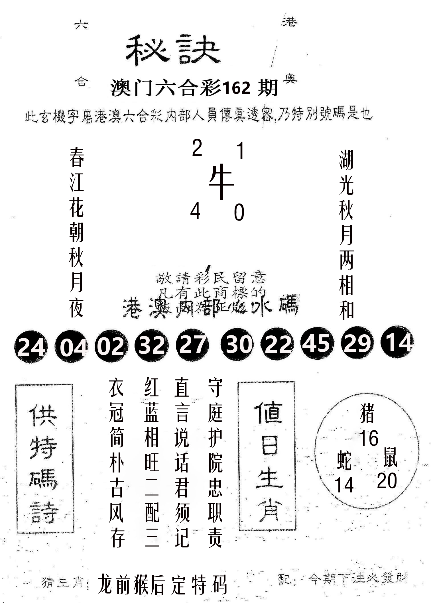 秘决 第162期