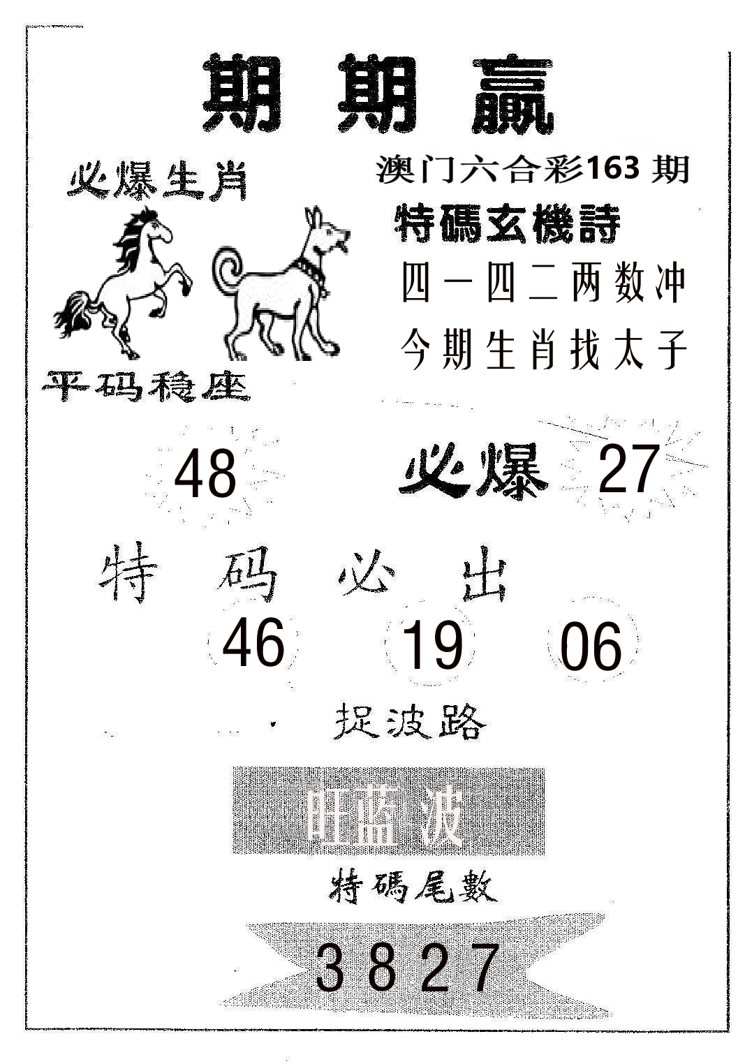 期期赢 第163期