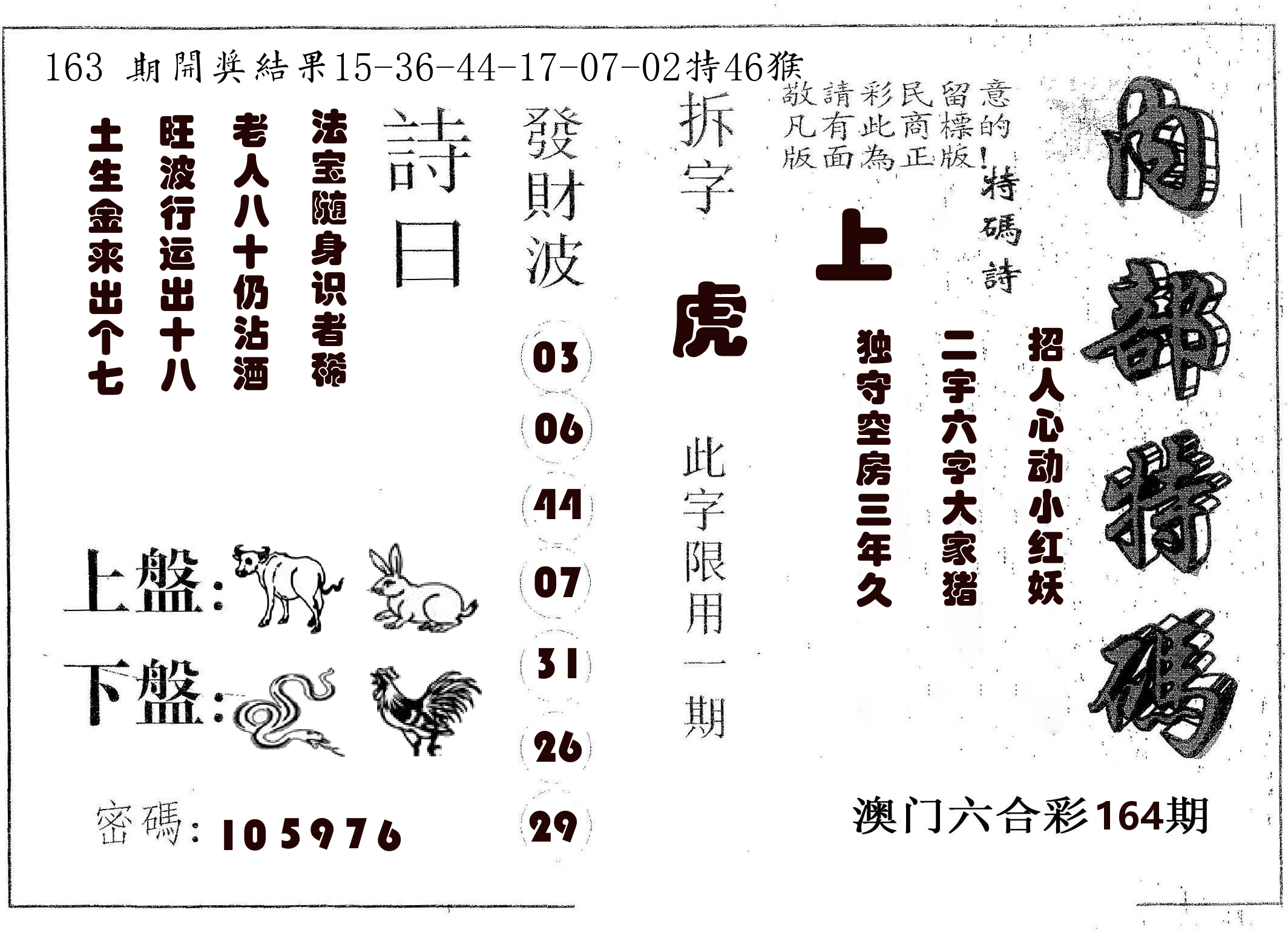 内部特码 第164期