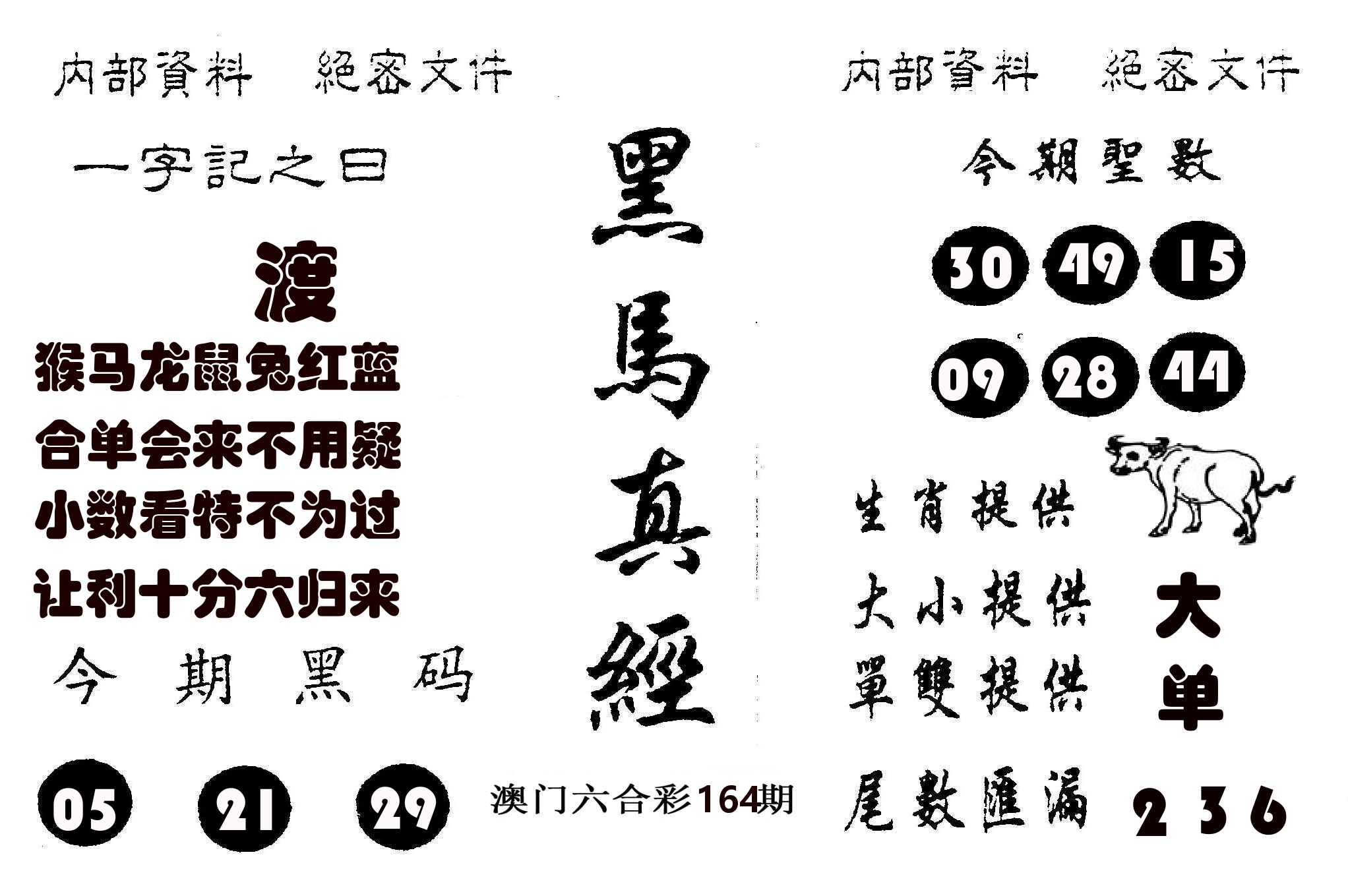 黑马真经 第164期