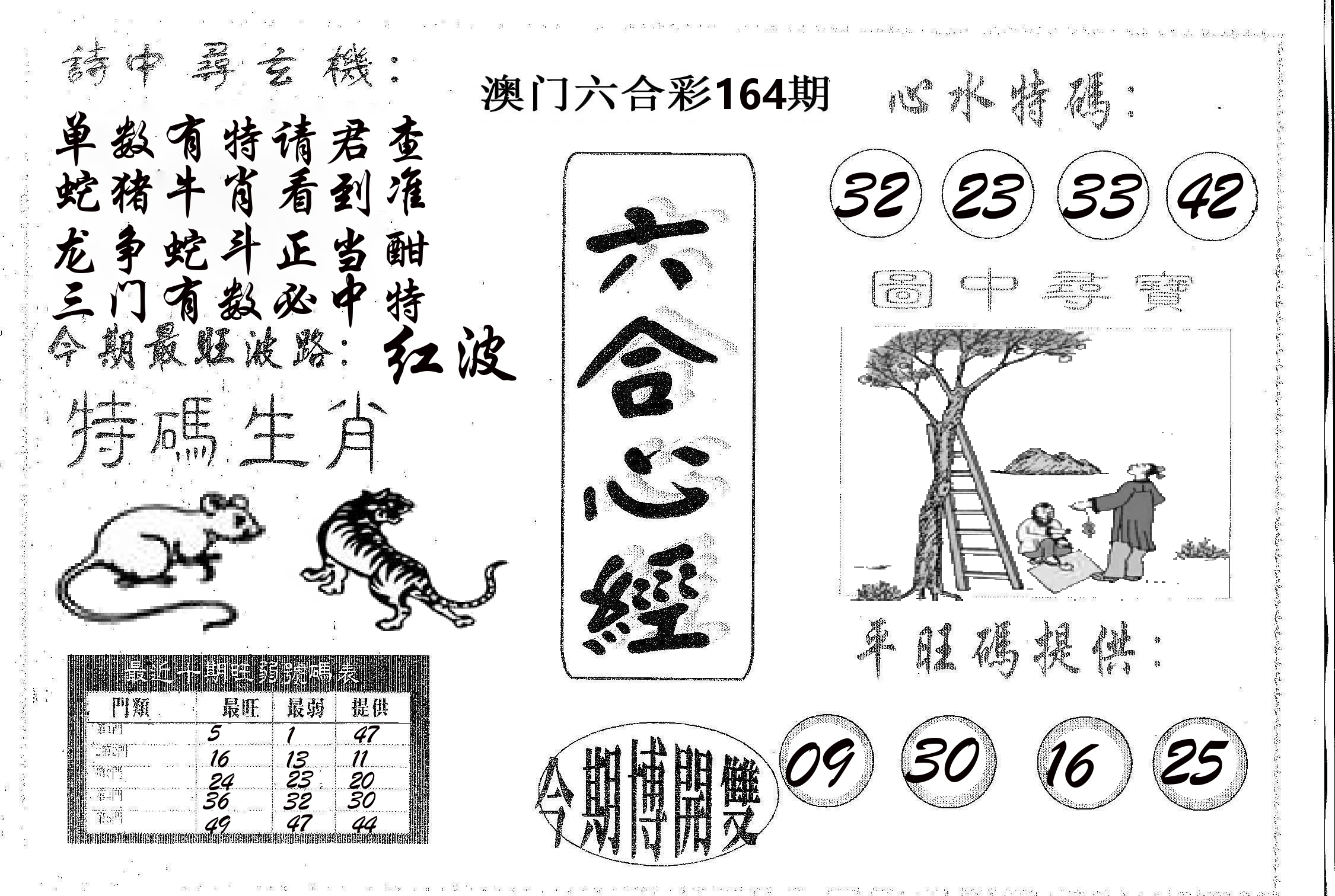 六合心经 第164期