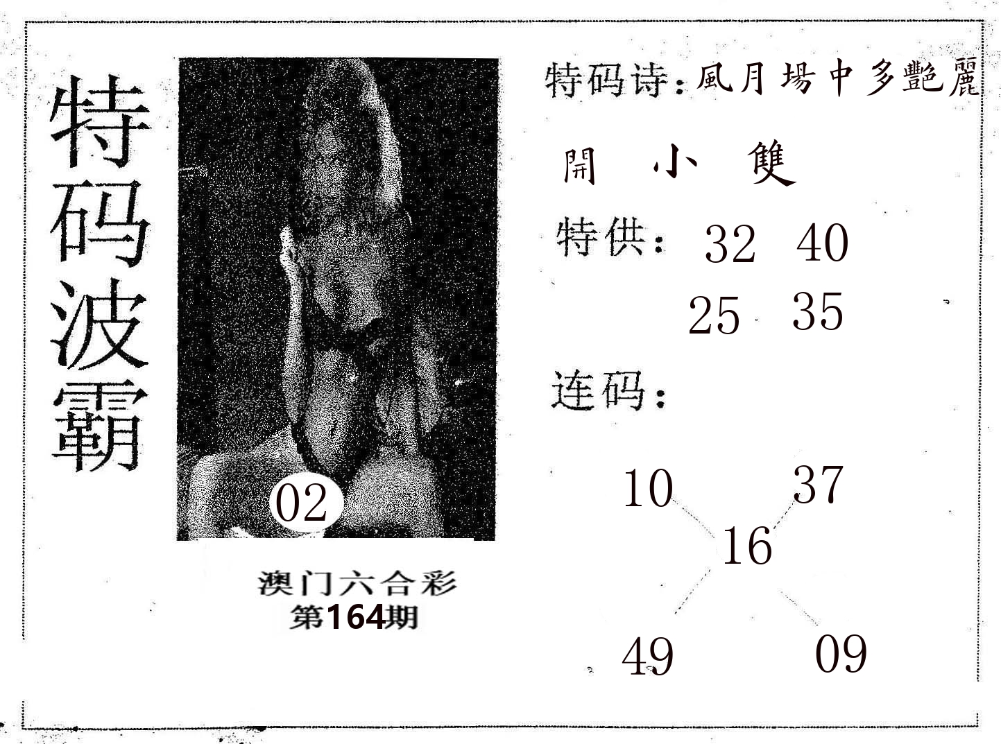 特码波霸 第164期