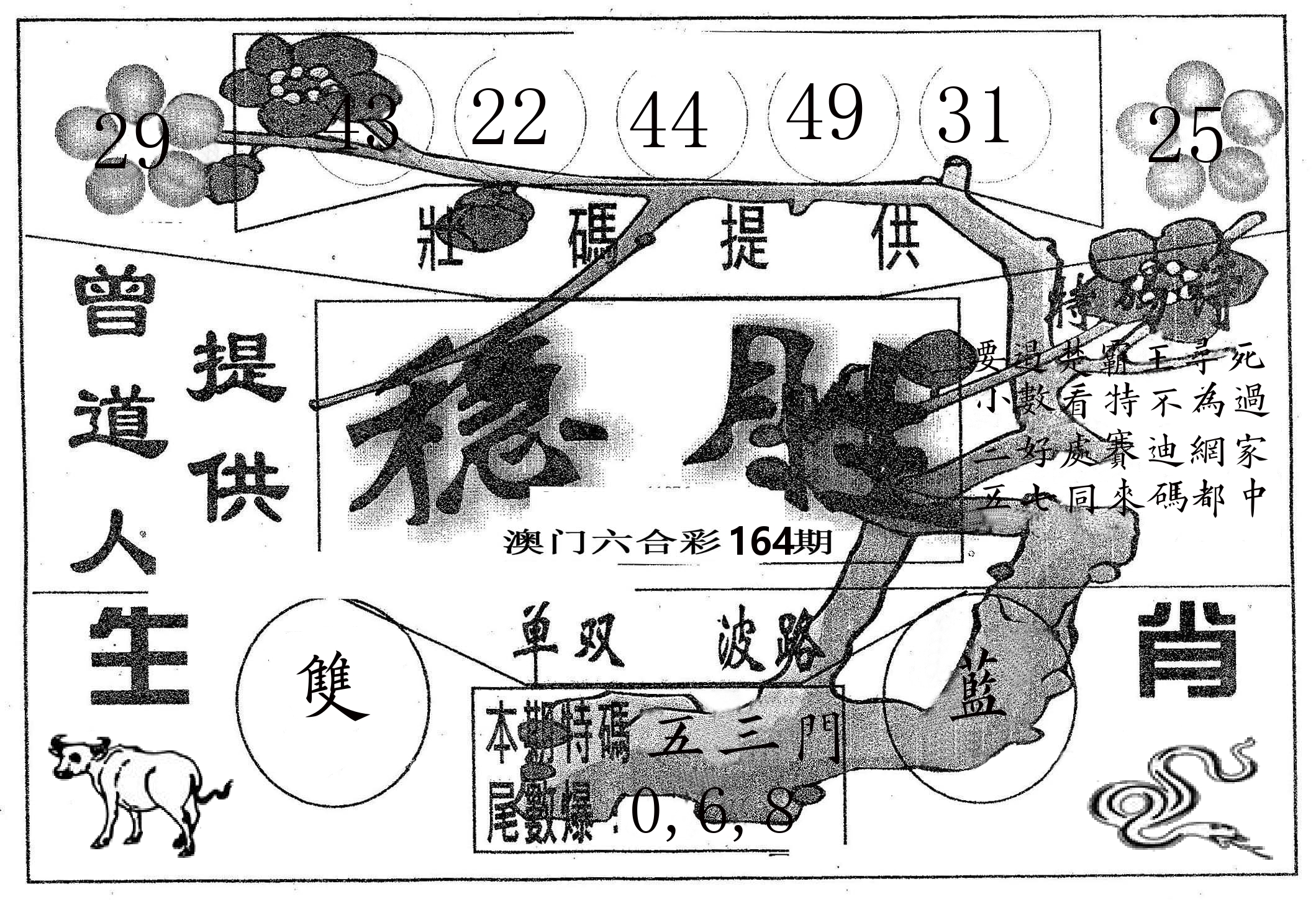 稳胜 第164期