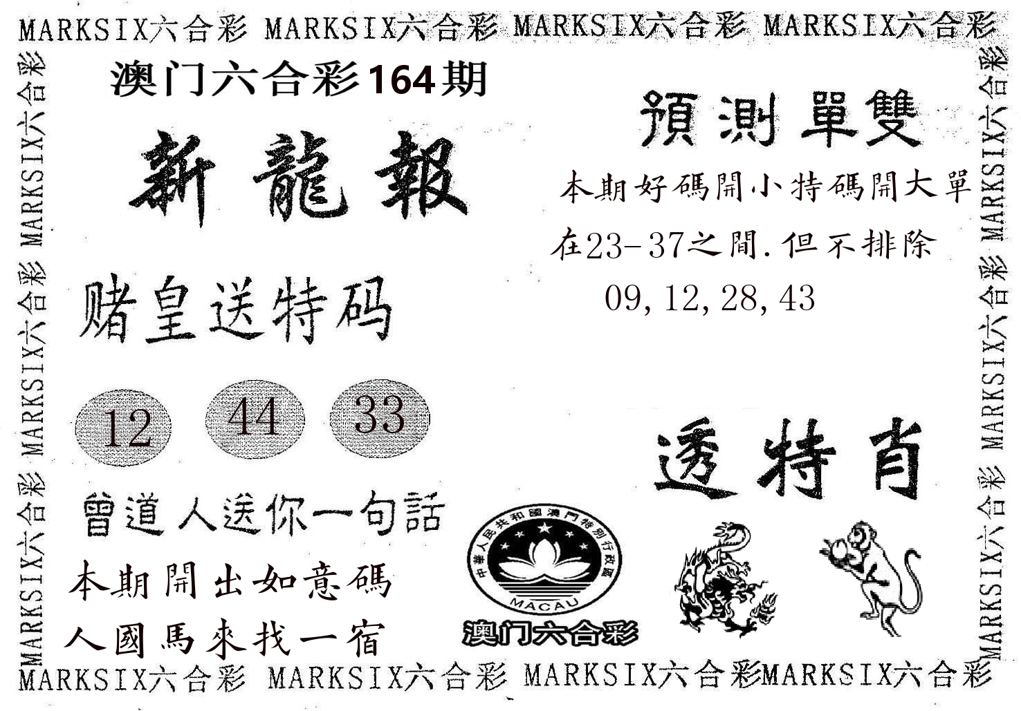 新龙报 第164期