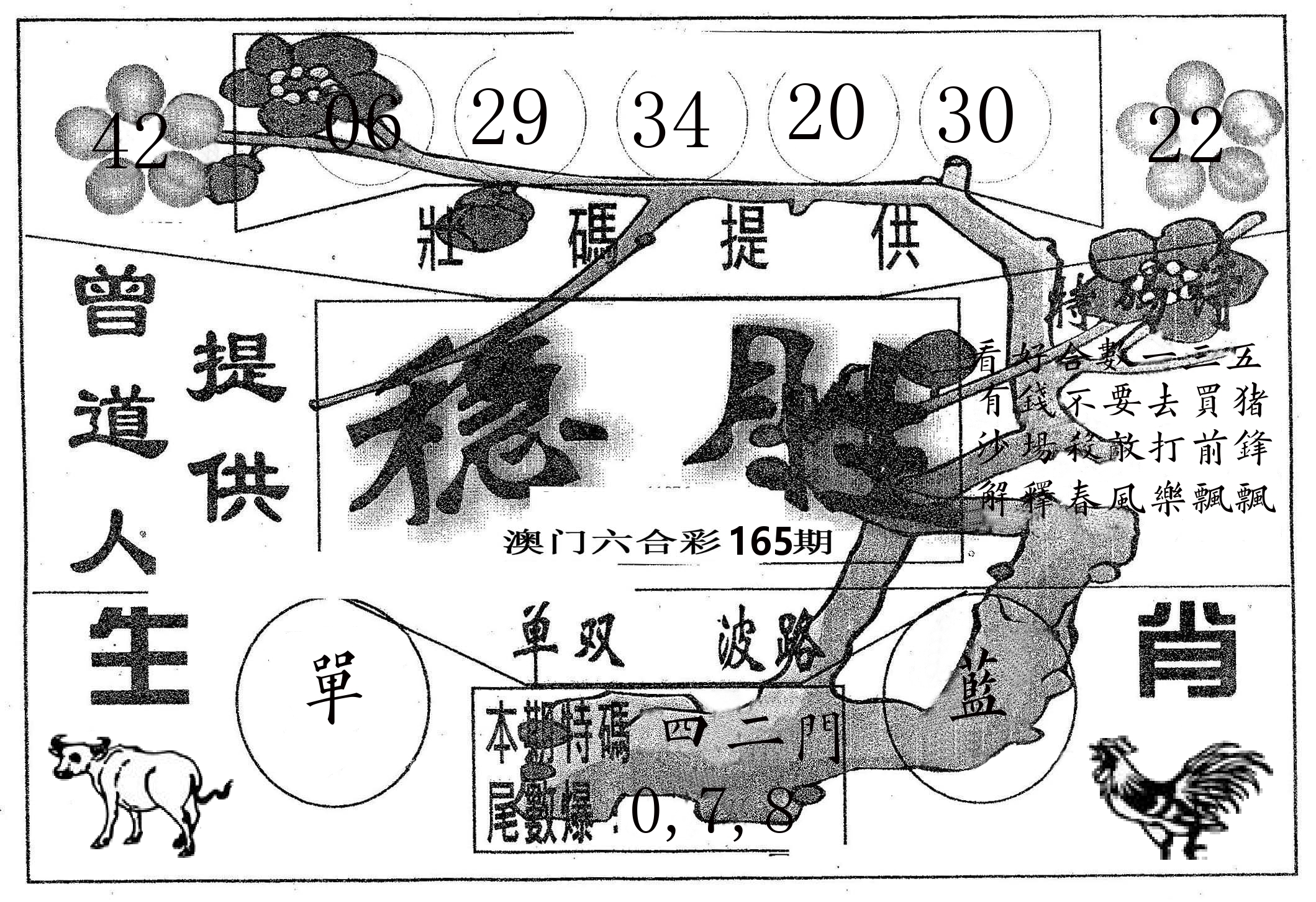 稳胜 第165期