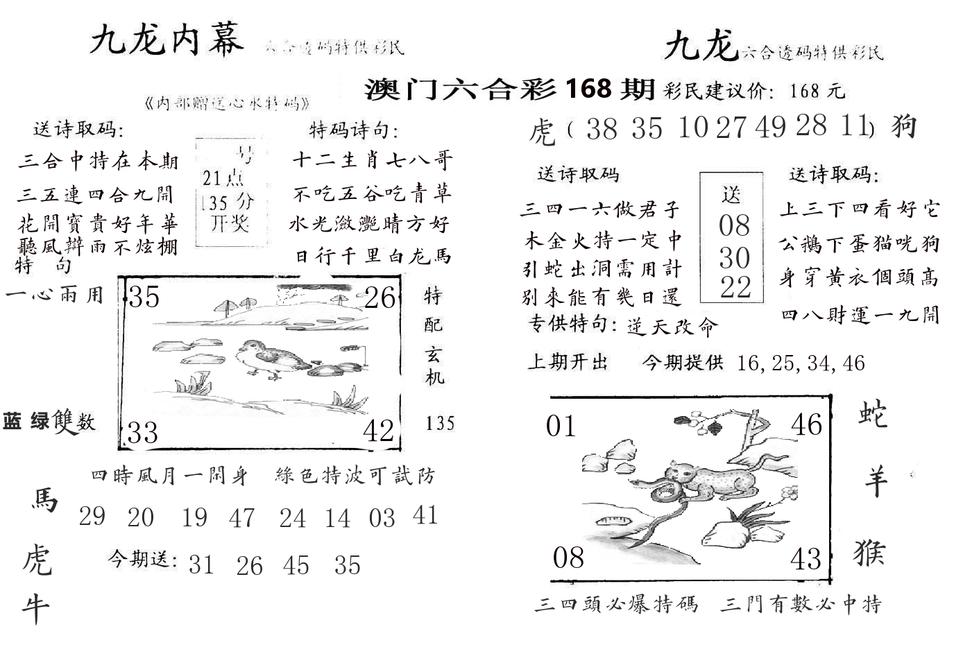 九龙内幕 第168期