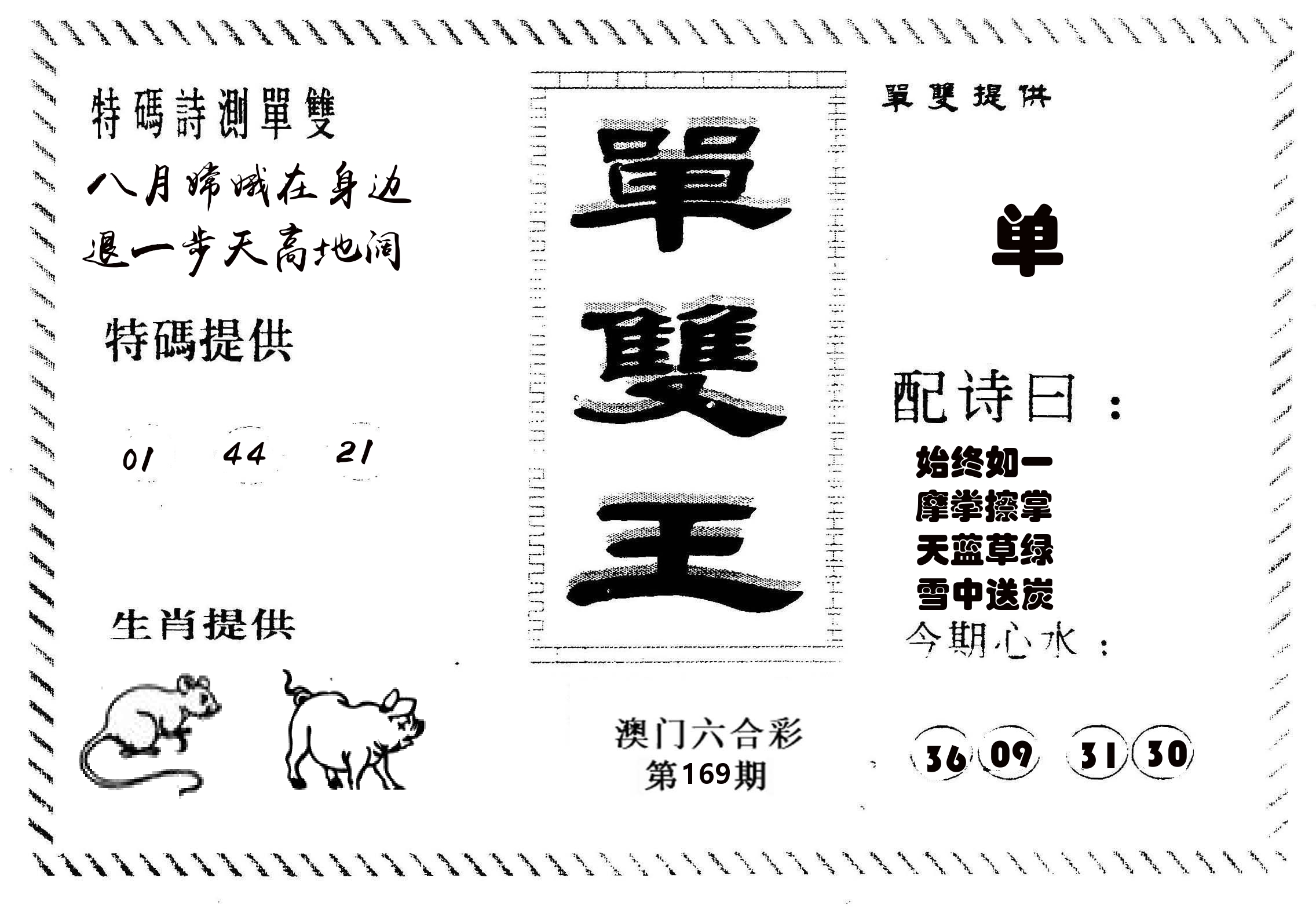 单双王B 第169期