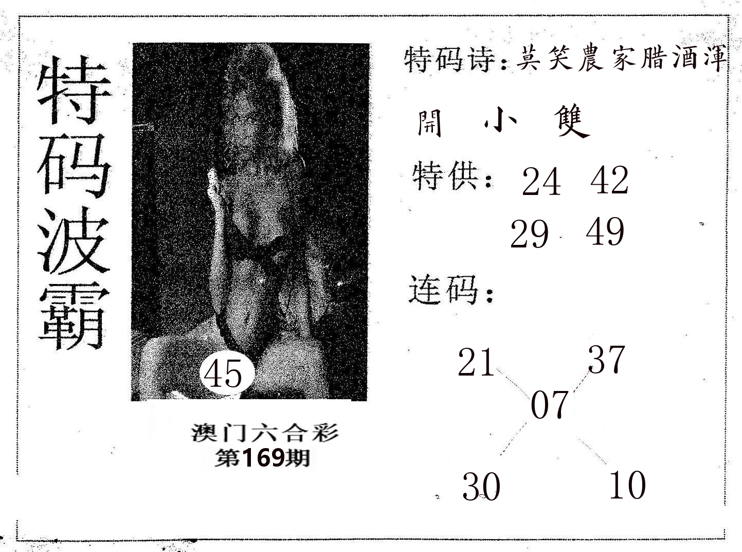 特码波霸 第169期