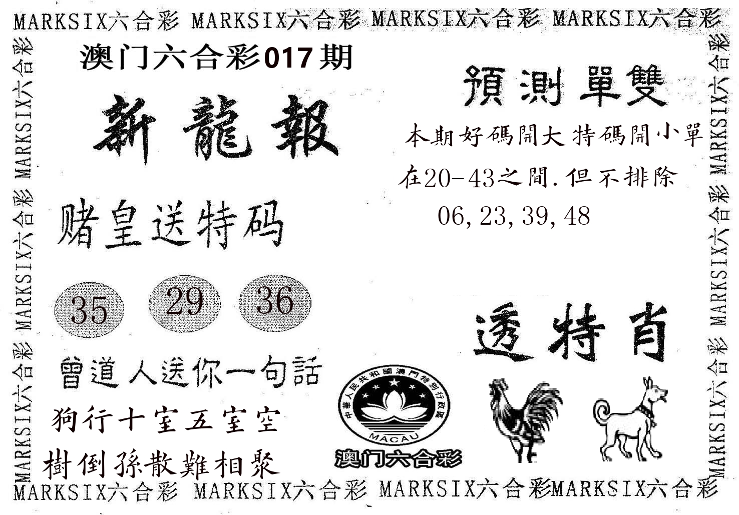 新龙报 第17期