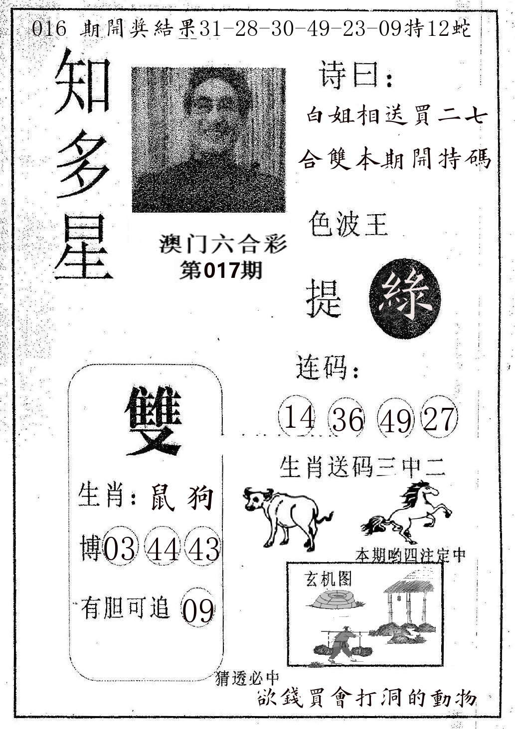 知多星 第17期