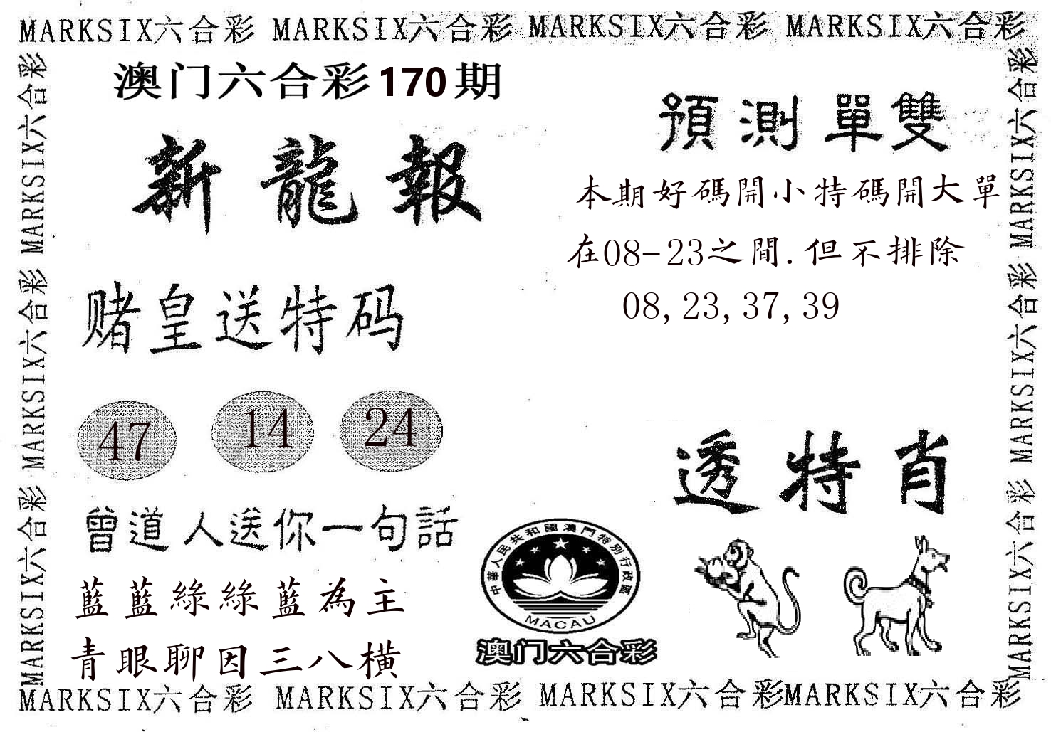 新龙报 第170期