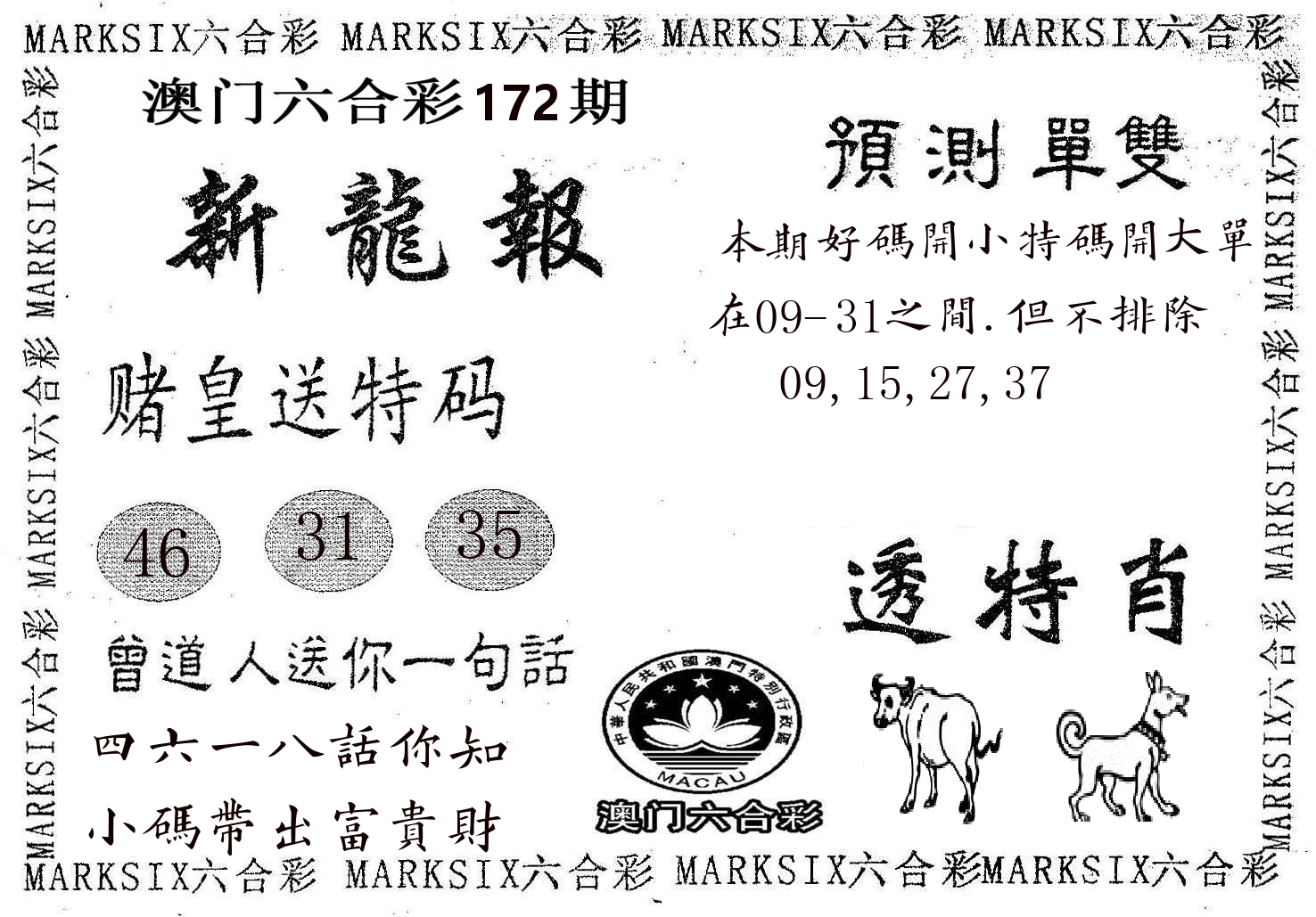 新龙报 第172期
