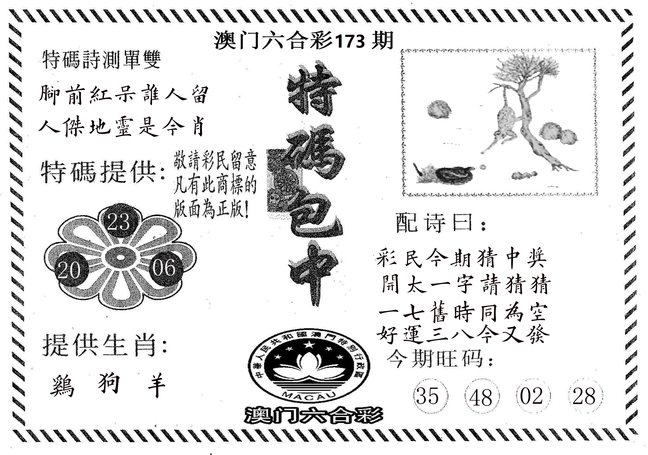 特码包中 第173期