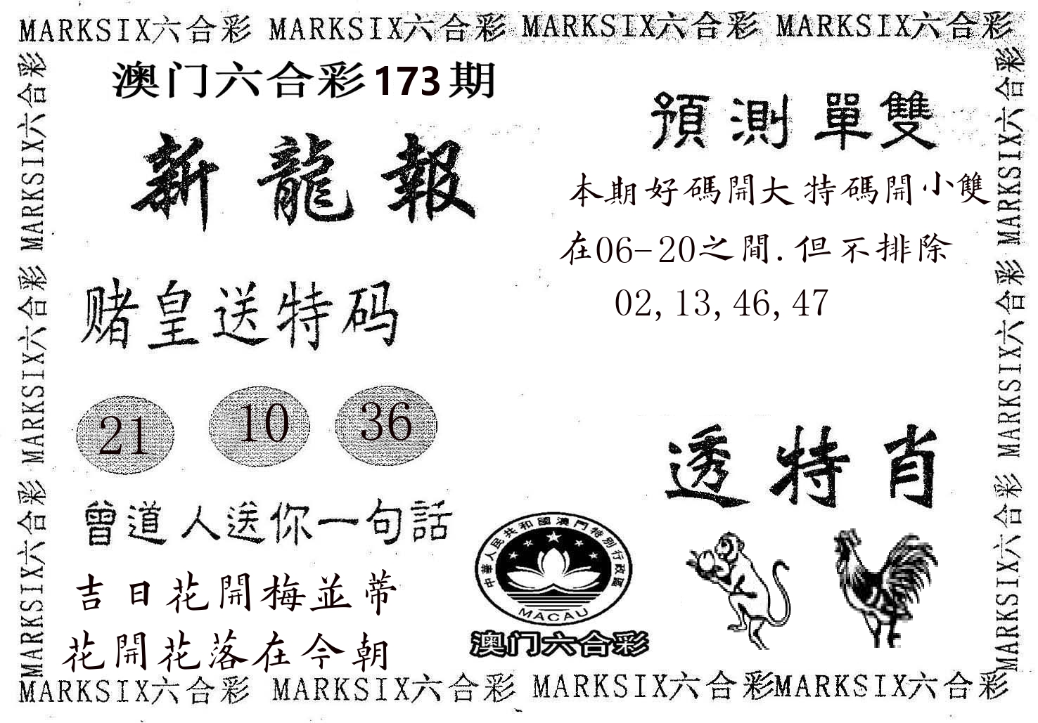 新龙报 第173期
