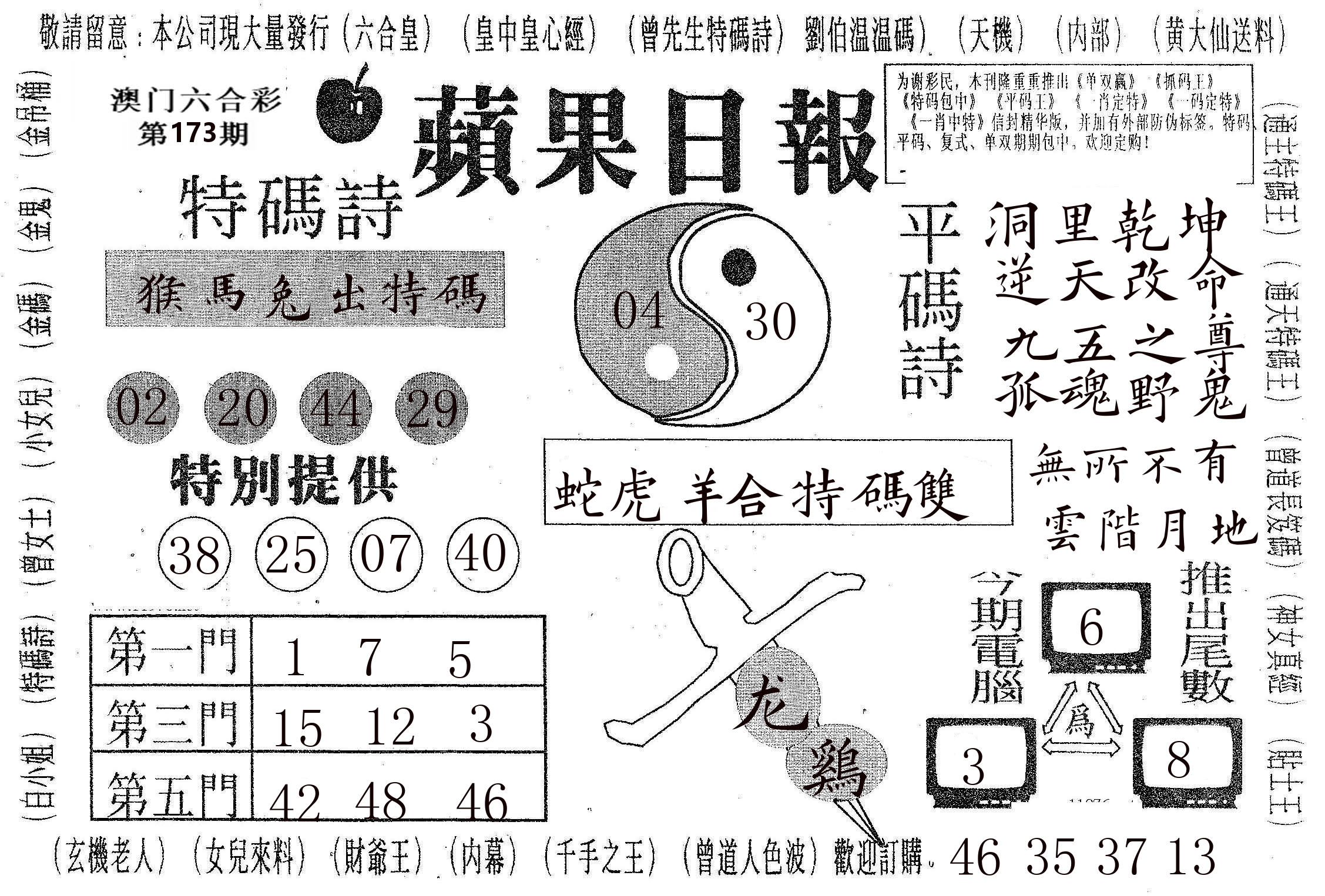 新苹果日报 第173期