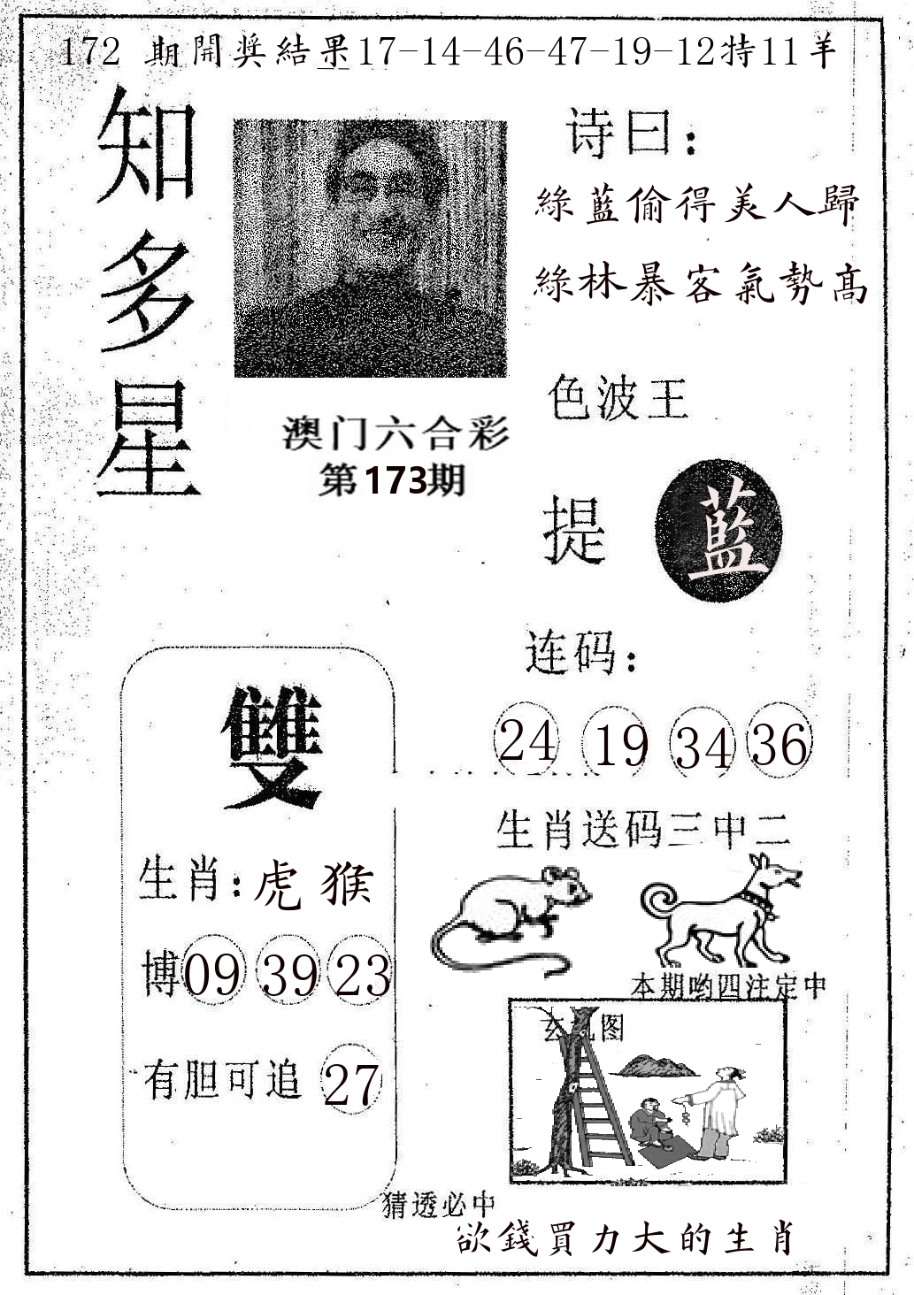 知多星 第173期