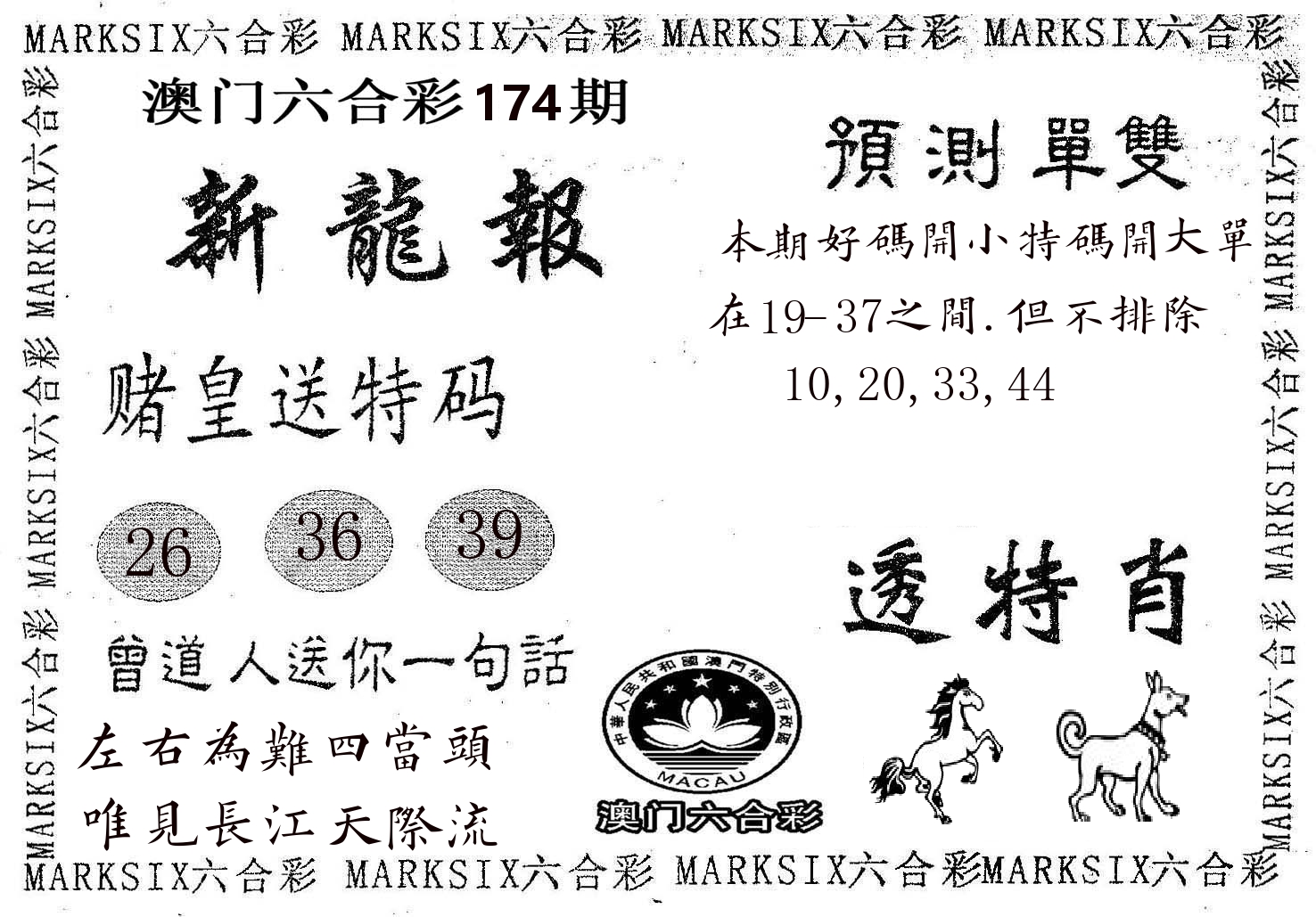 新龙报 第174期