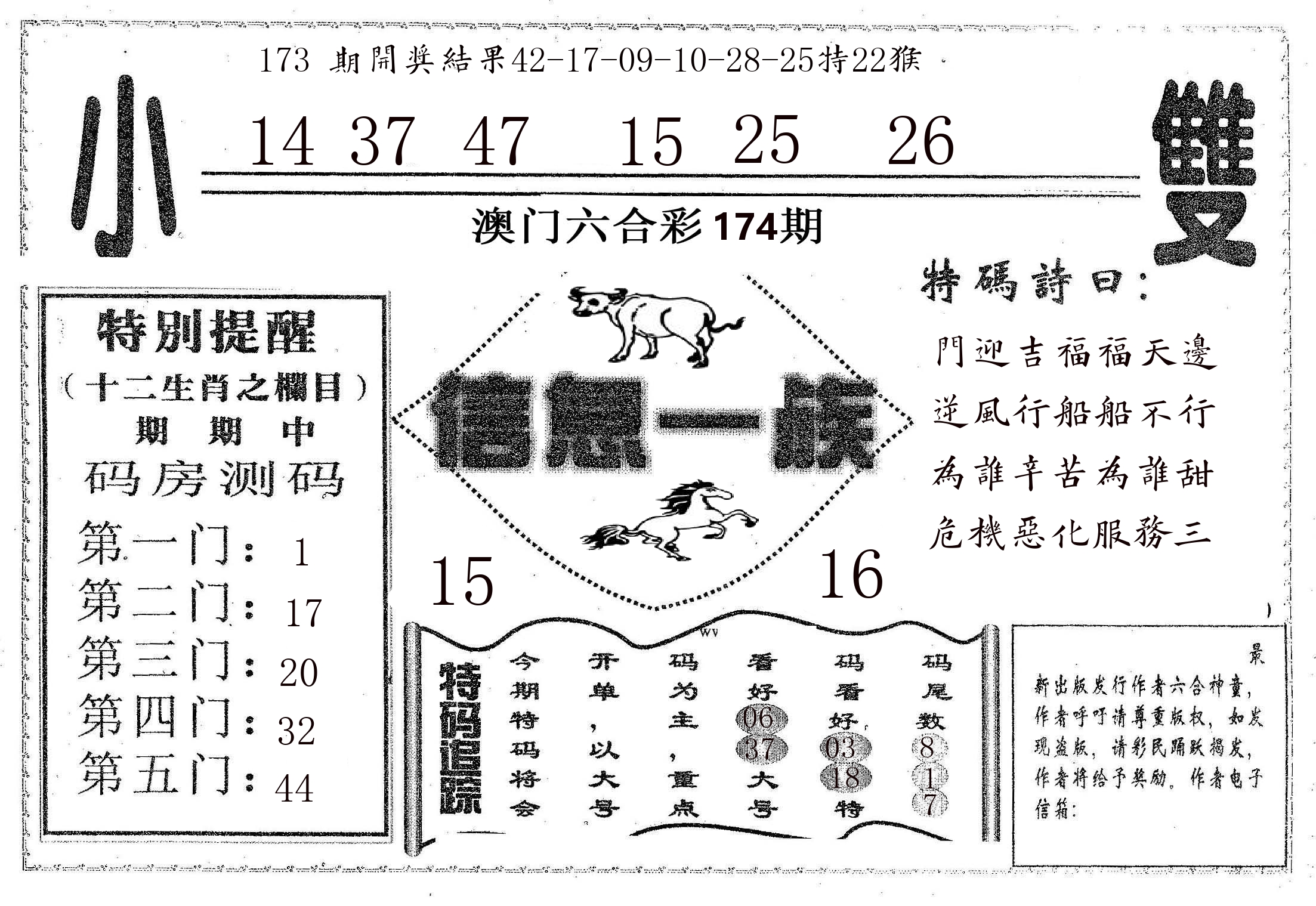 信息一族 第174期