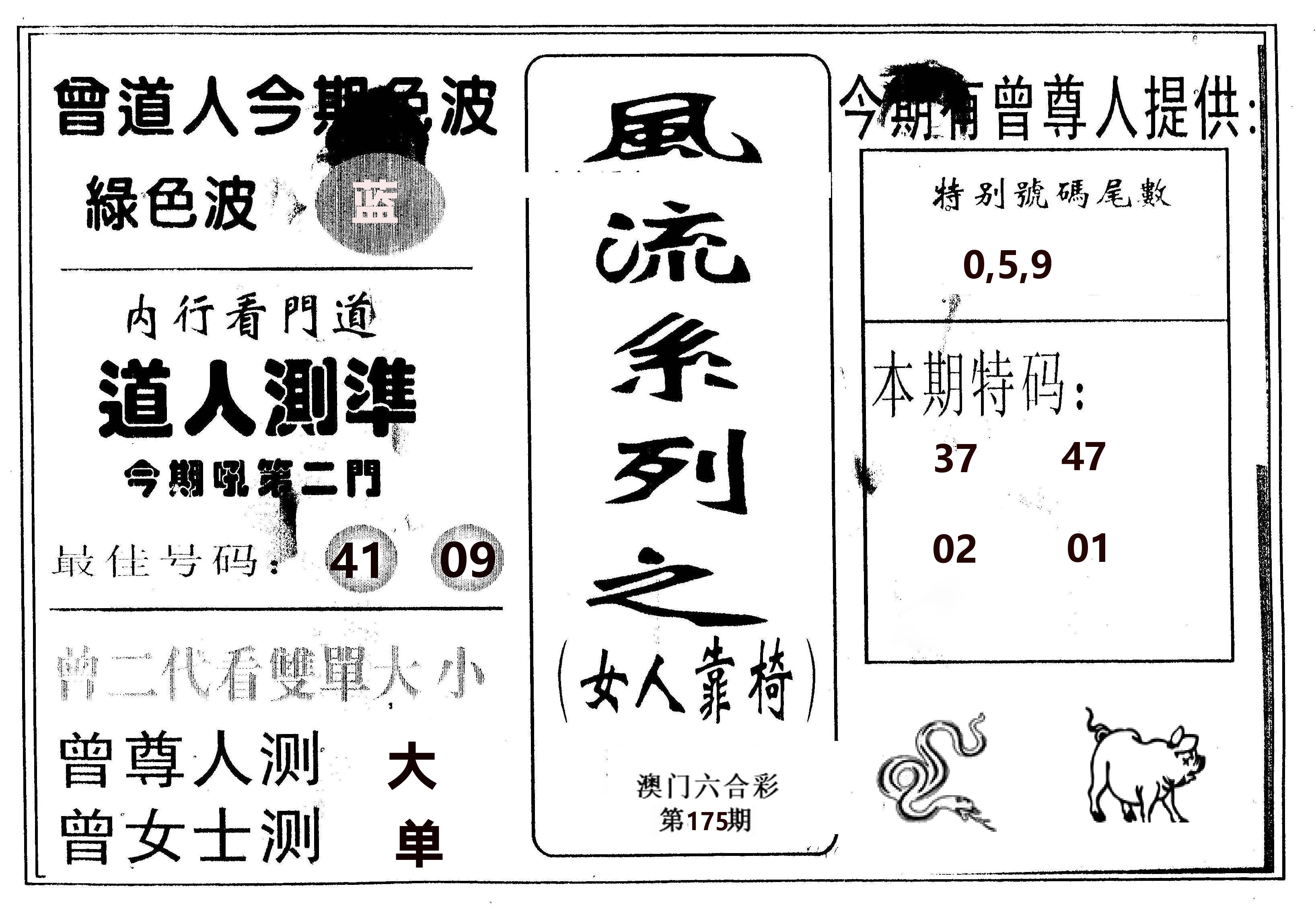 风流系列-3 第175期