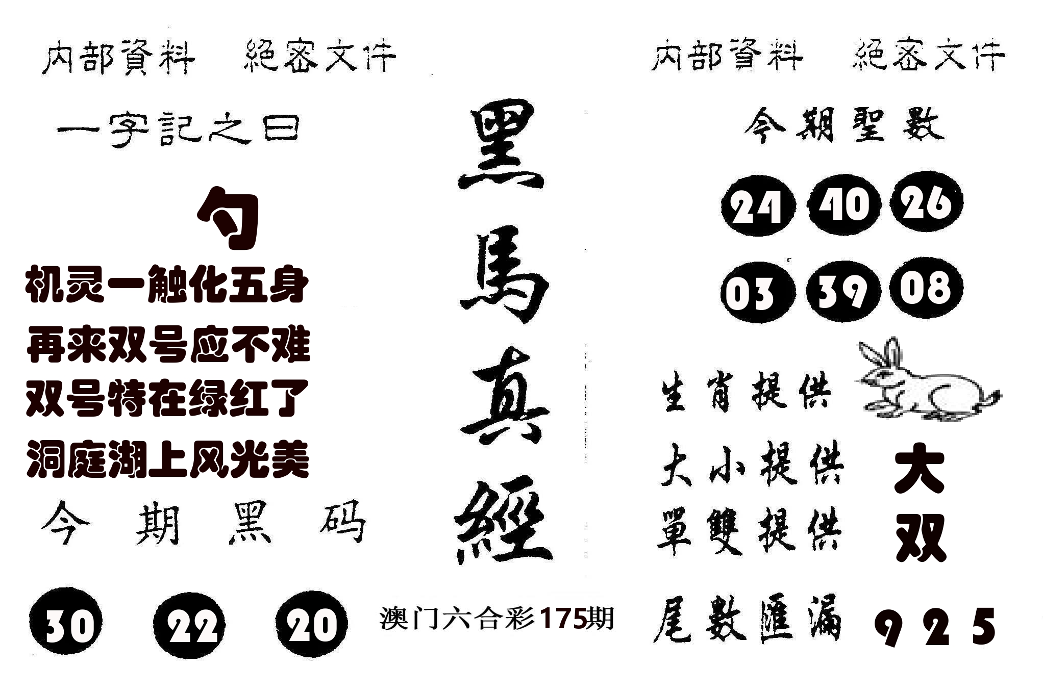 黑马真经 第175期