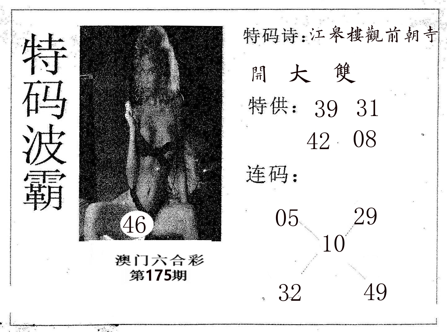特码波霸 第175期