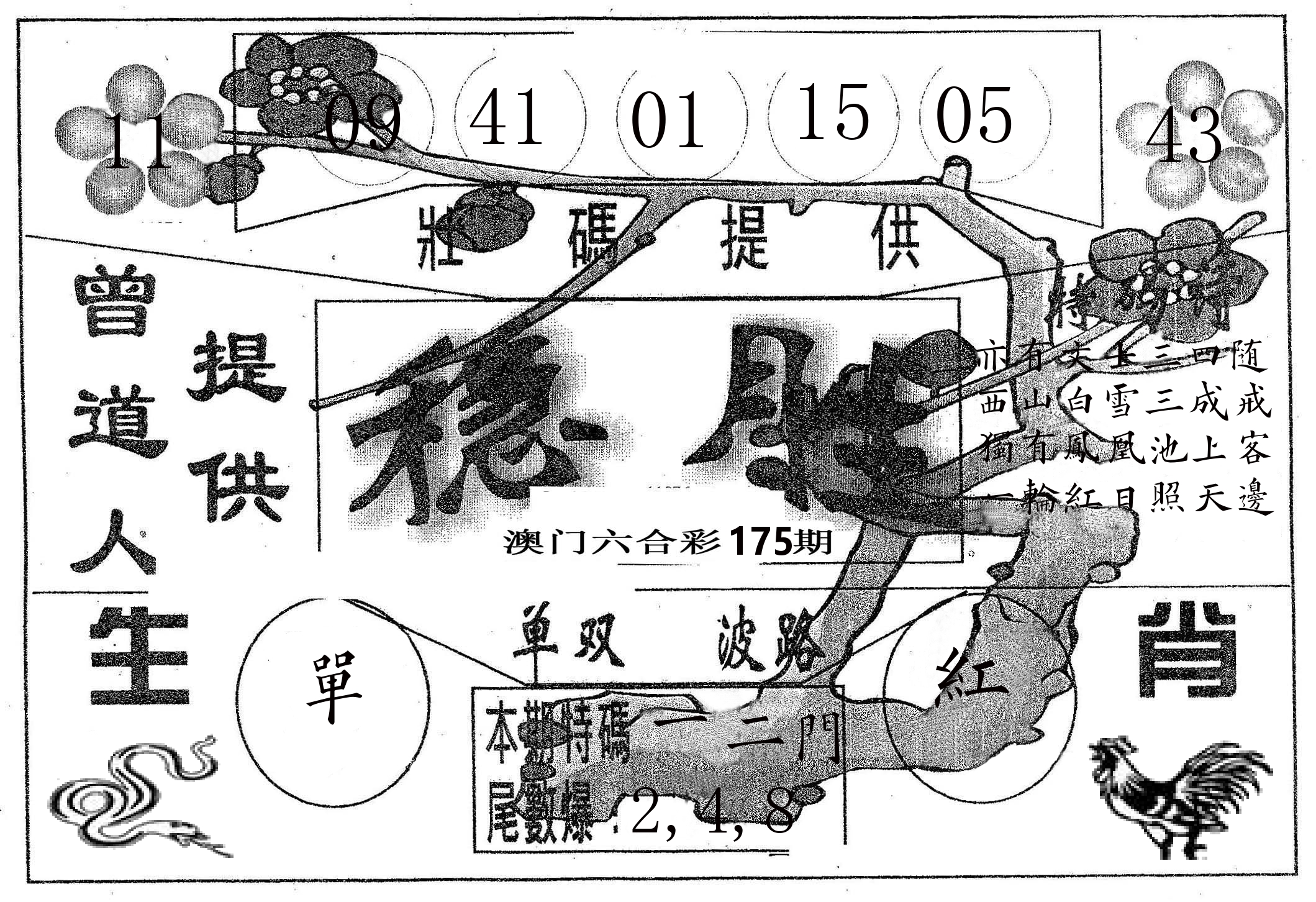 稳胜 第175期
