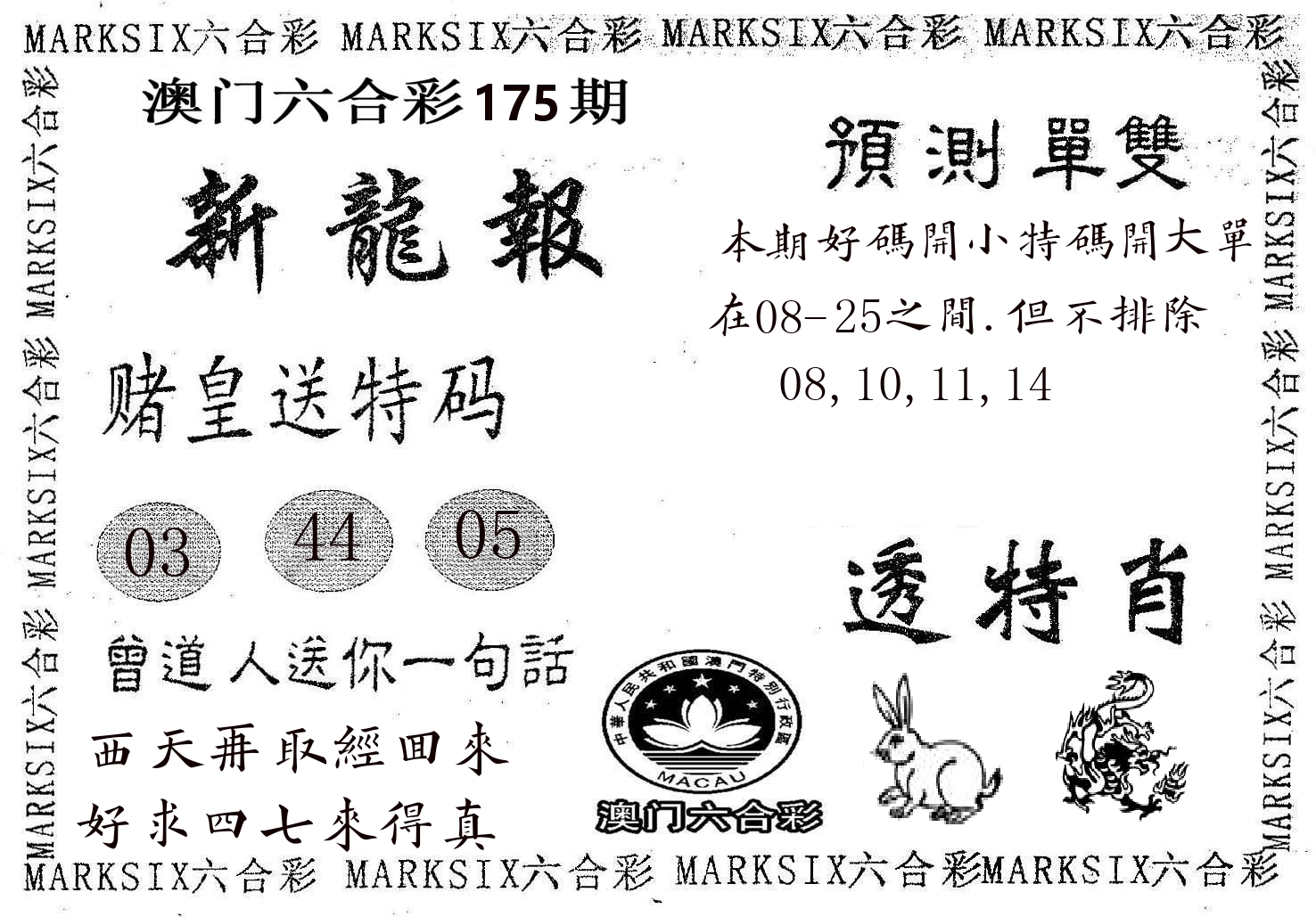 新龙报 第175期