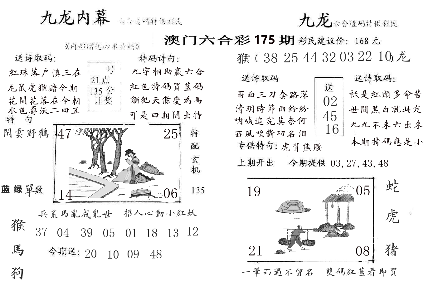 九龙内幕 第175期