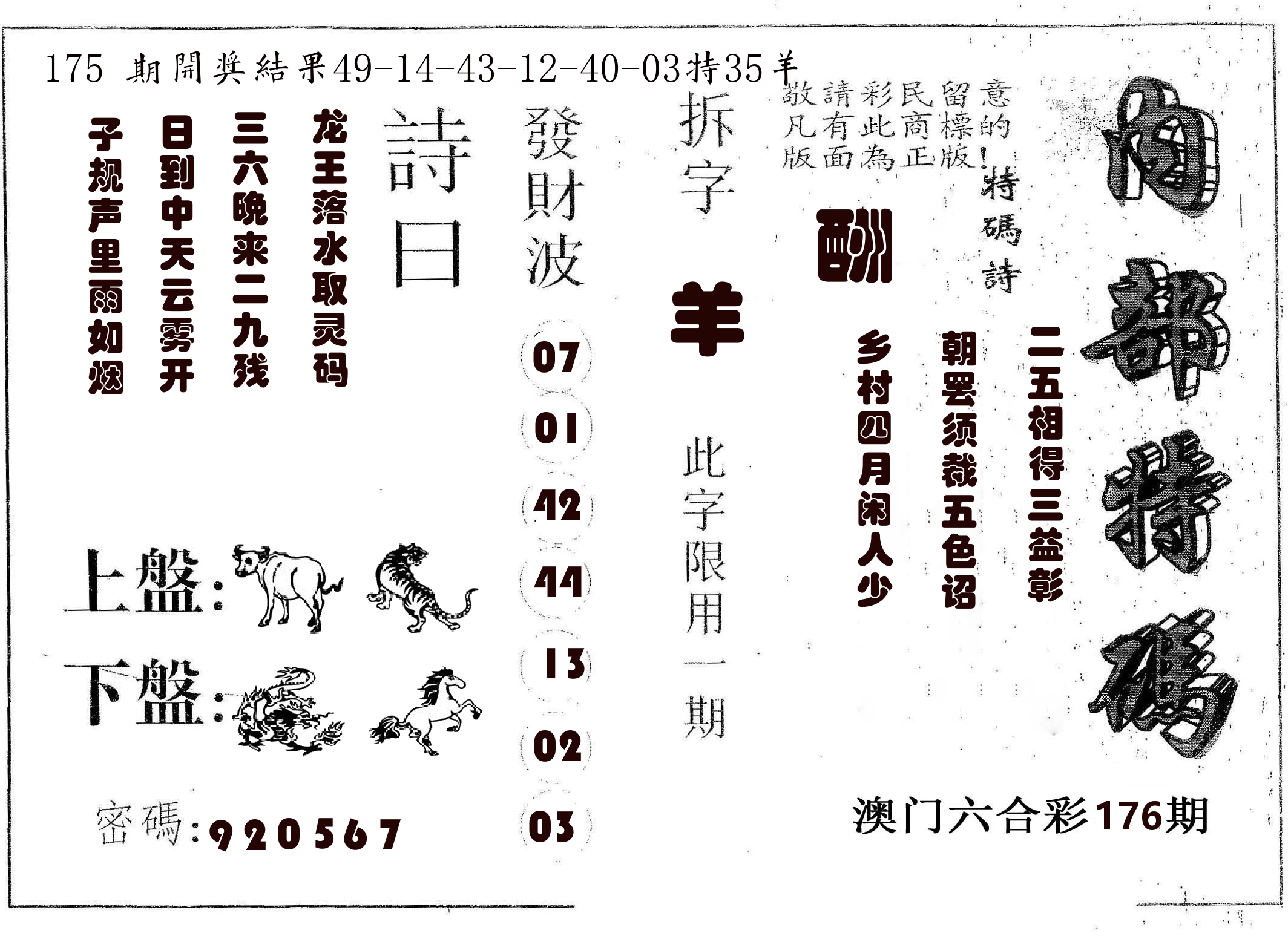内部特码 第176期