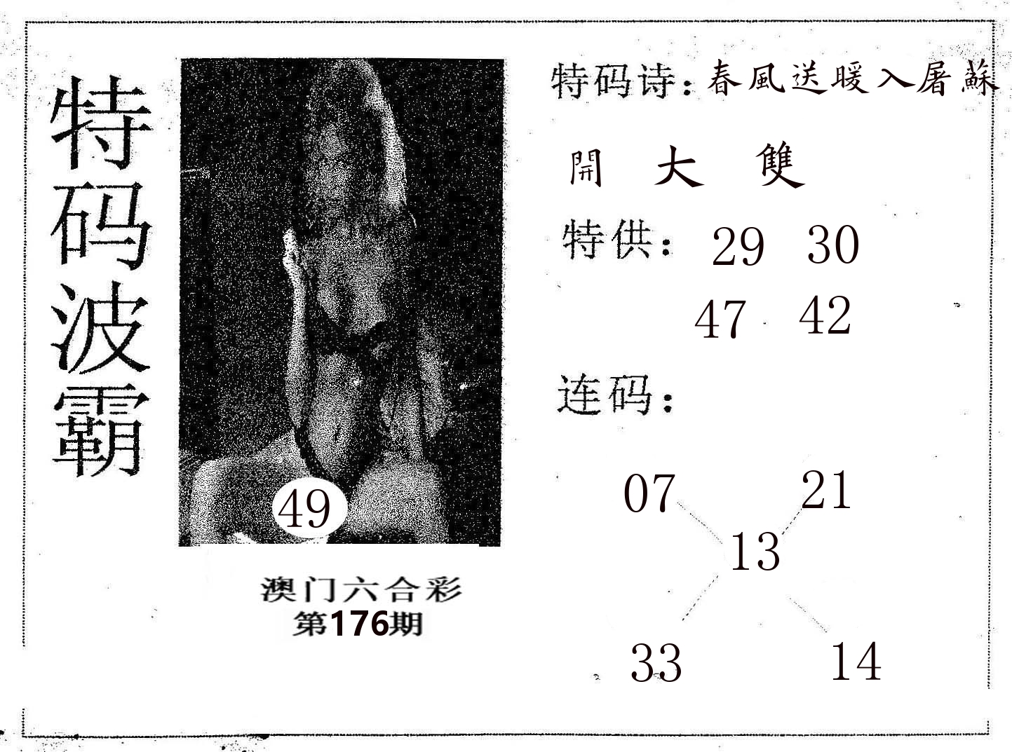 特码波霸 第176期