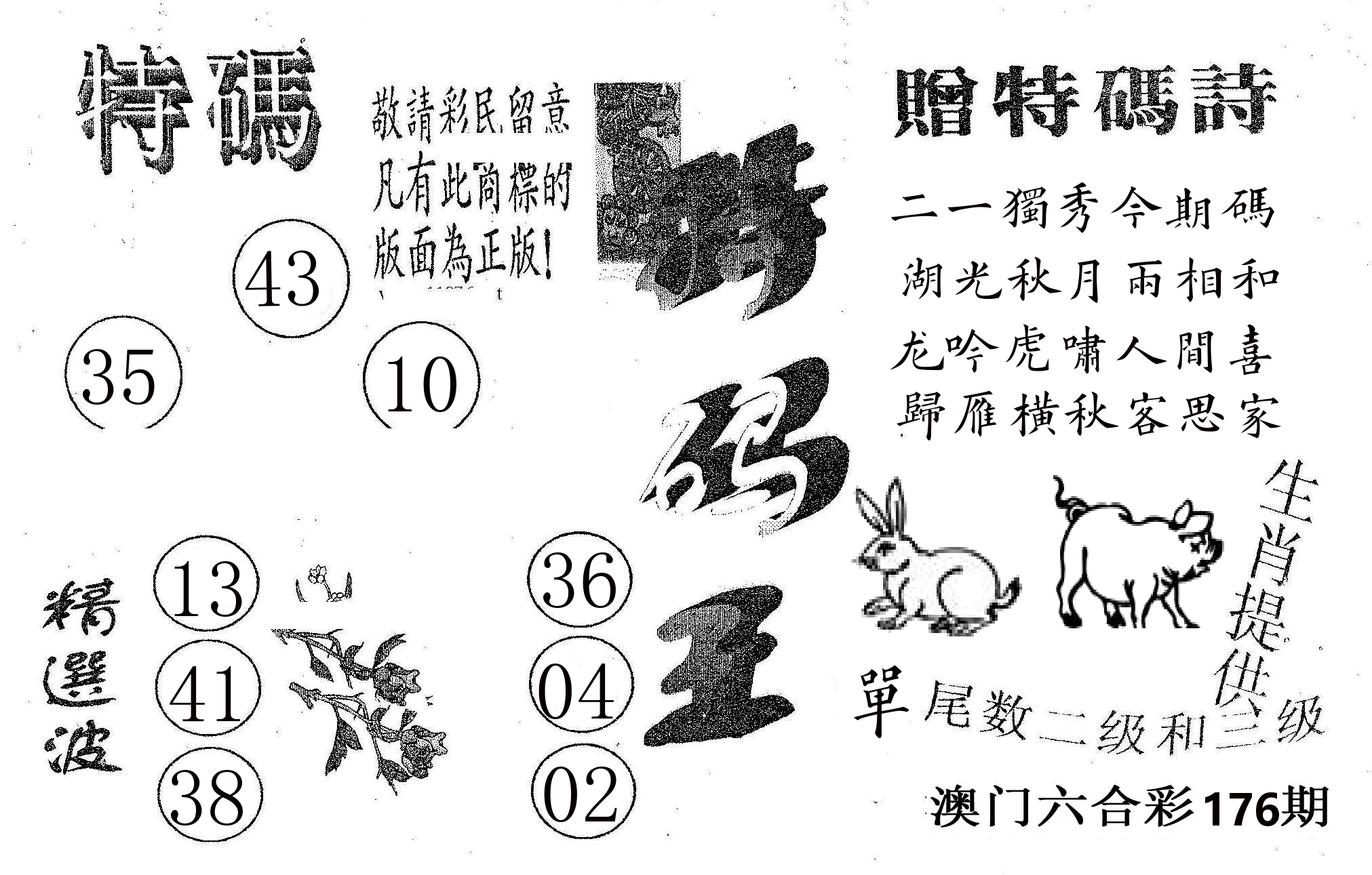 特码王A 第176期
