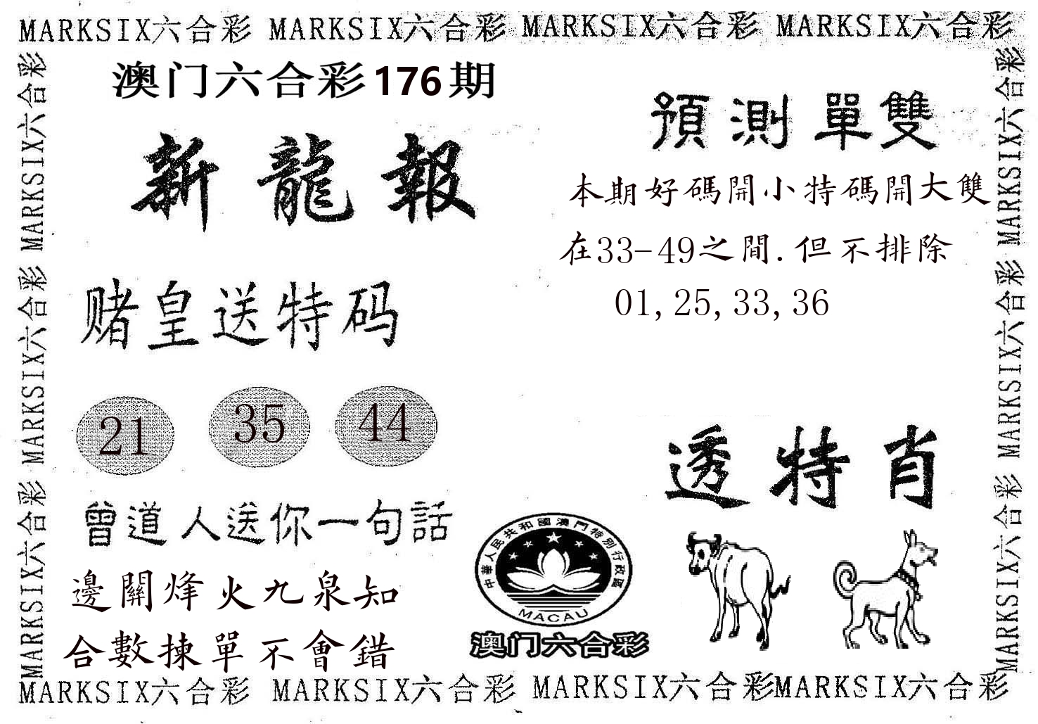 新龙报 第176期