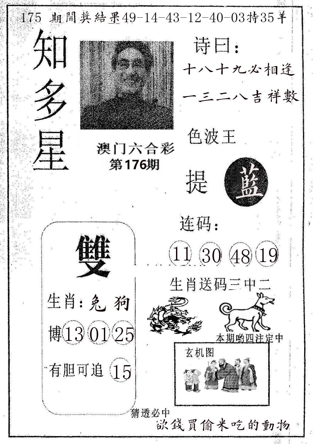 知多星 第176期