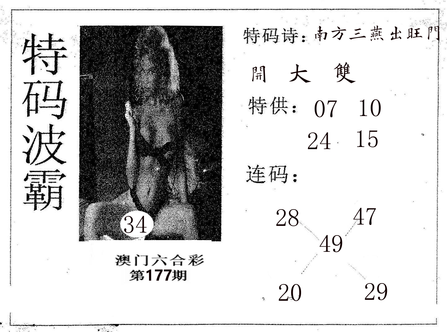 特码波霸 第177期