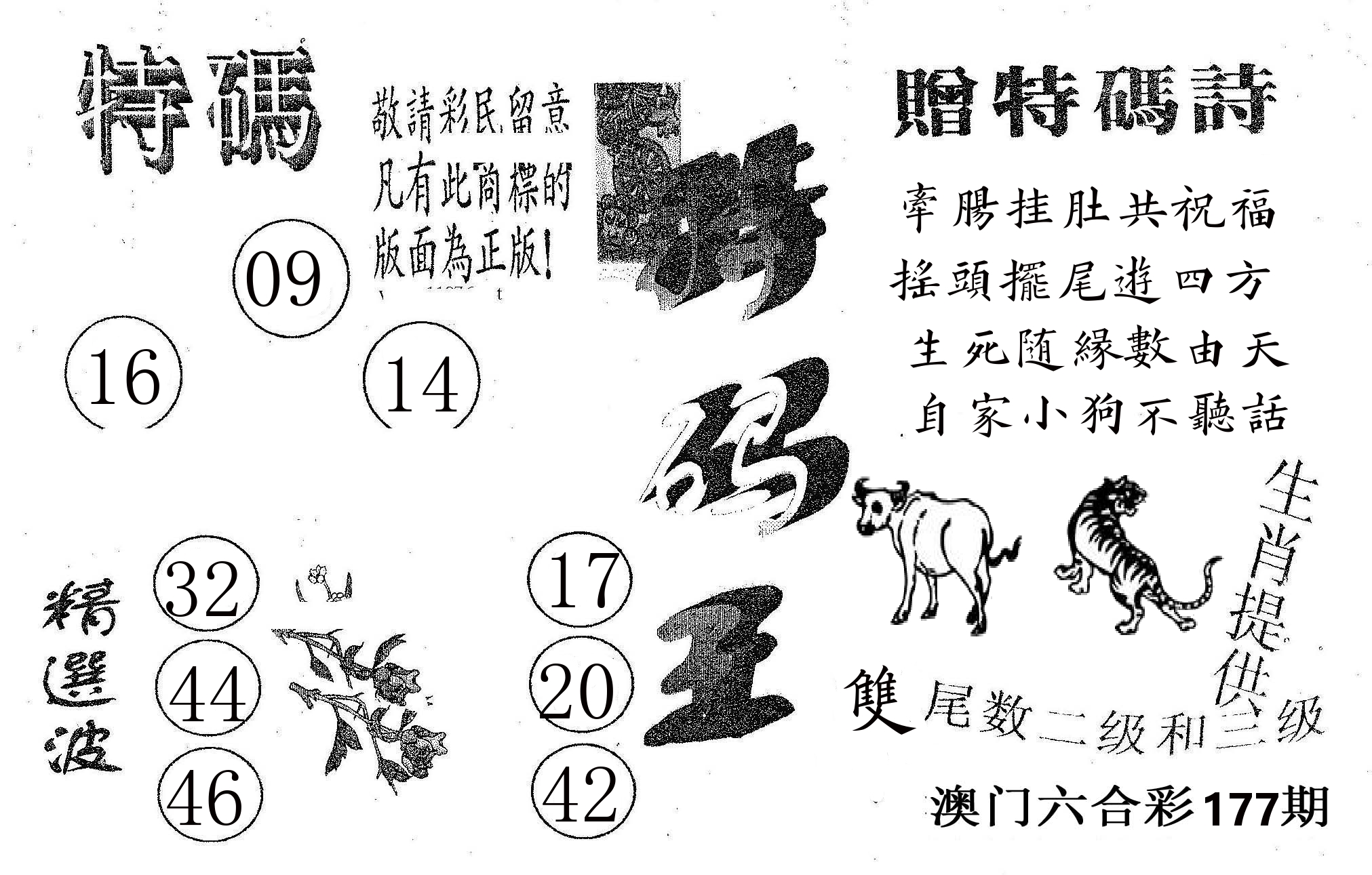 特码王A 第177期
