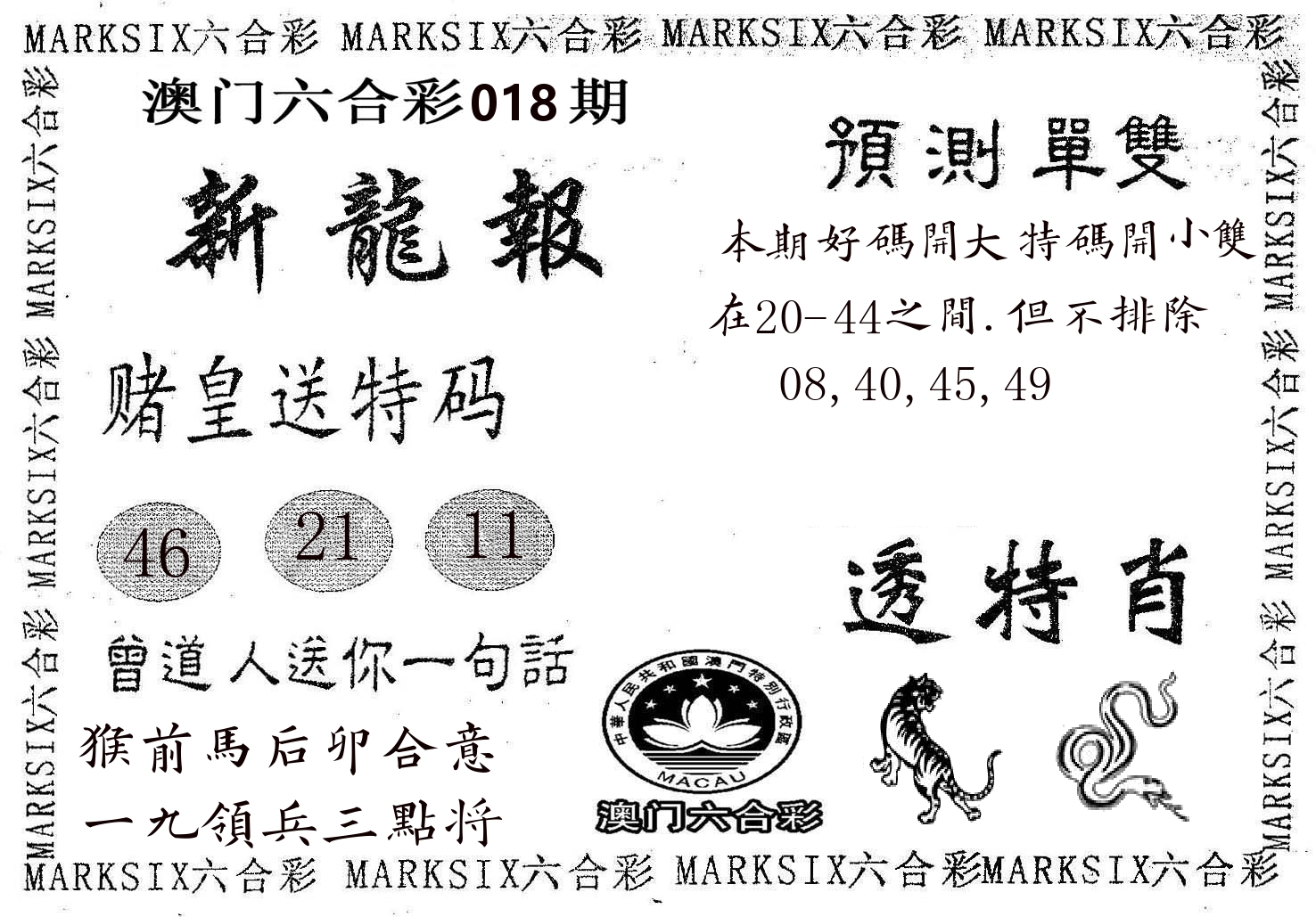 新龙报 第18期