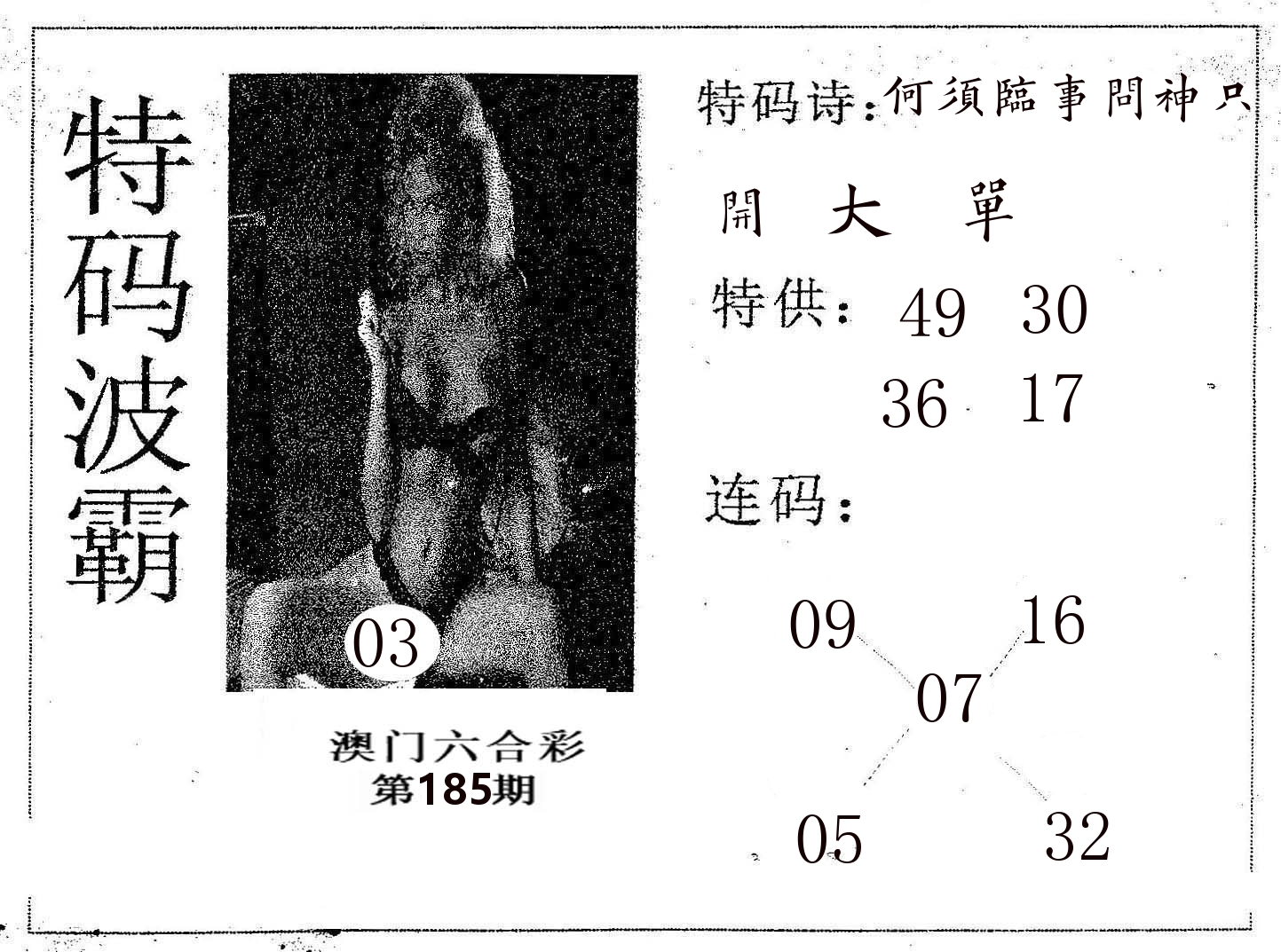 特码波霸 第185期
