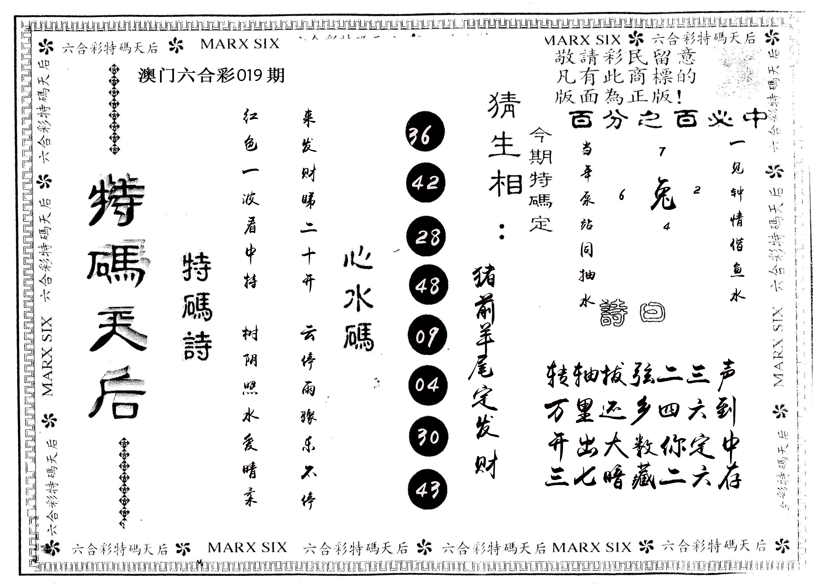 另版特码天后 第19期