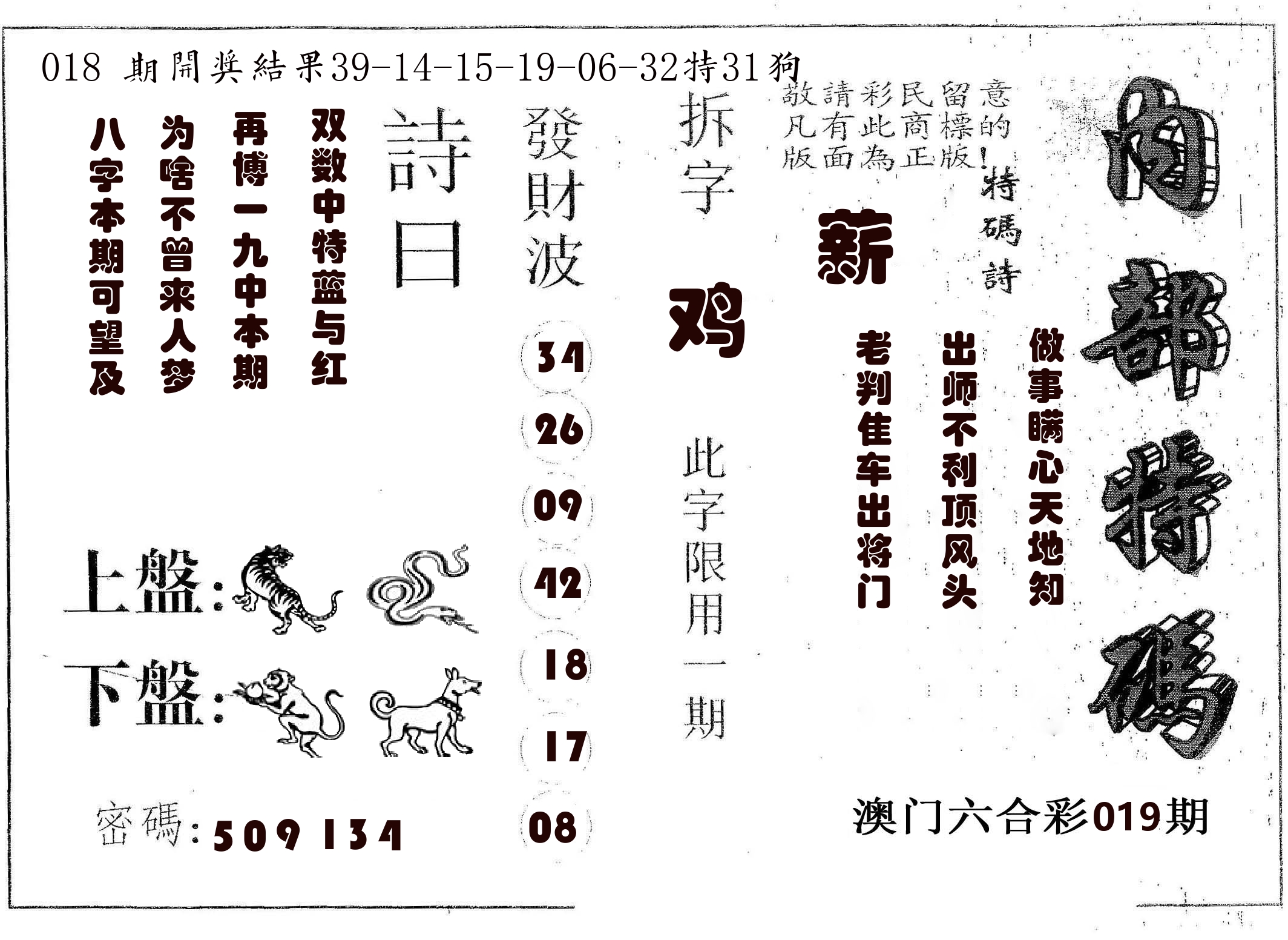 内部特码 第19期