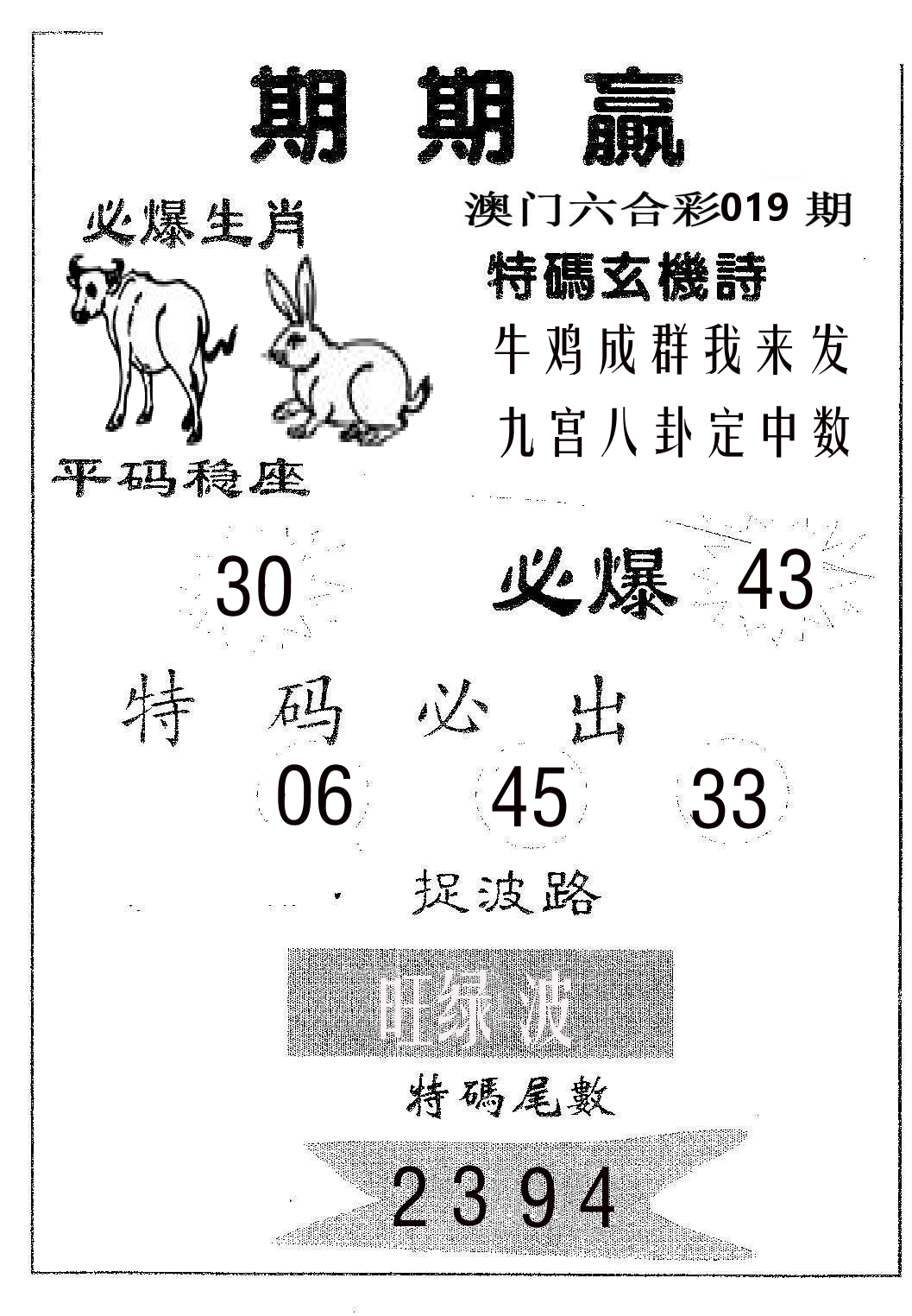 期期赢 第19期