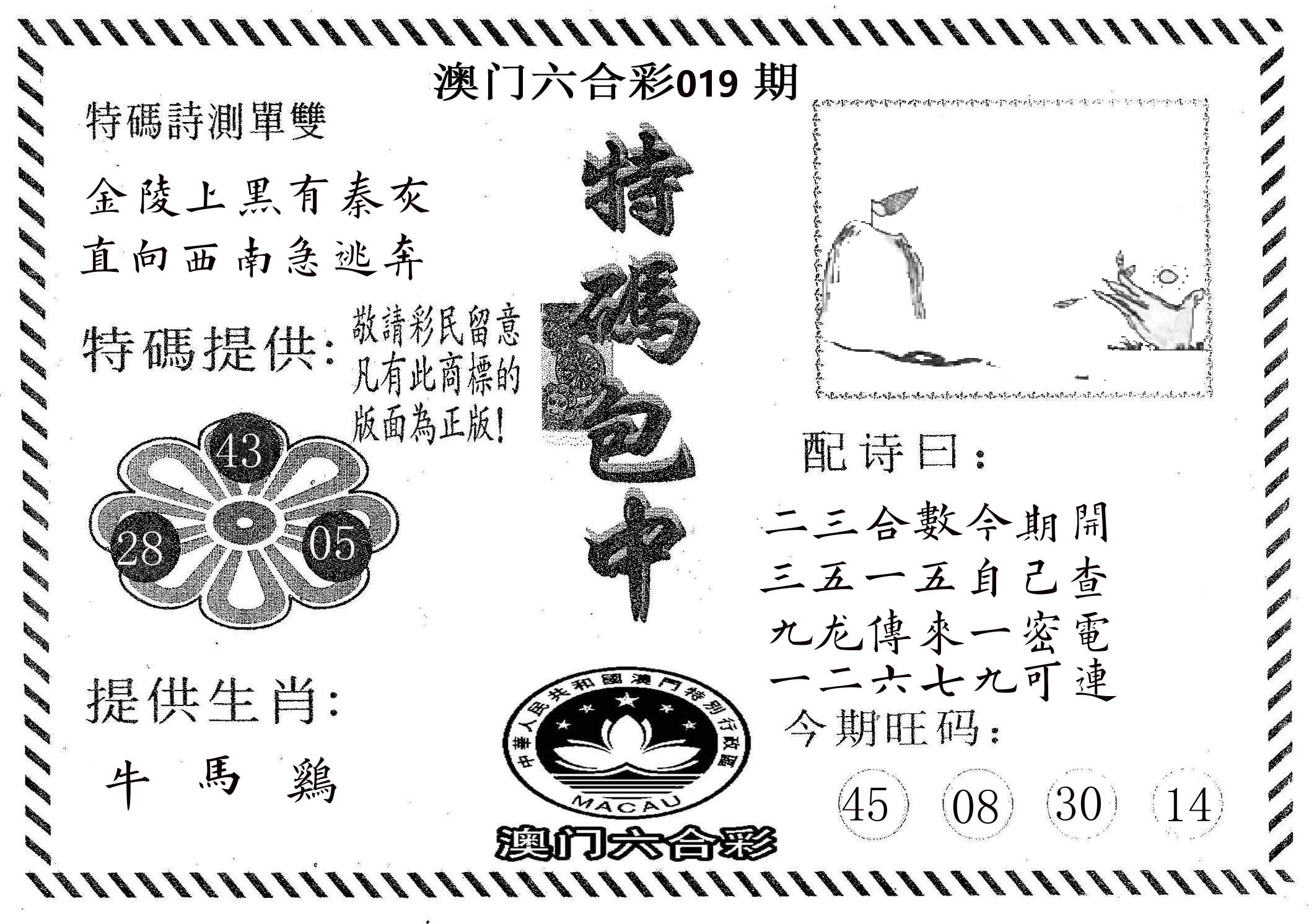特码包中 第19期