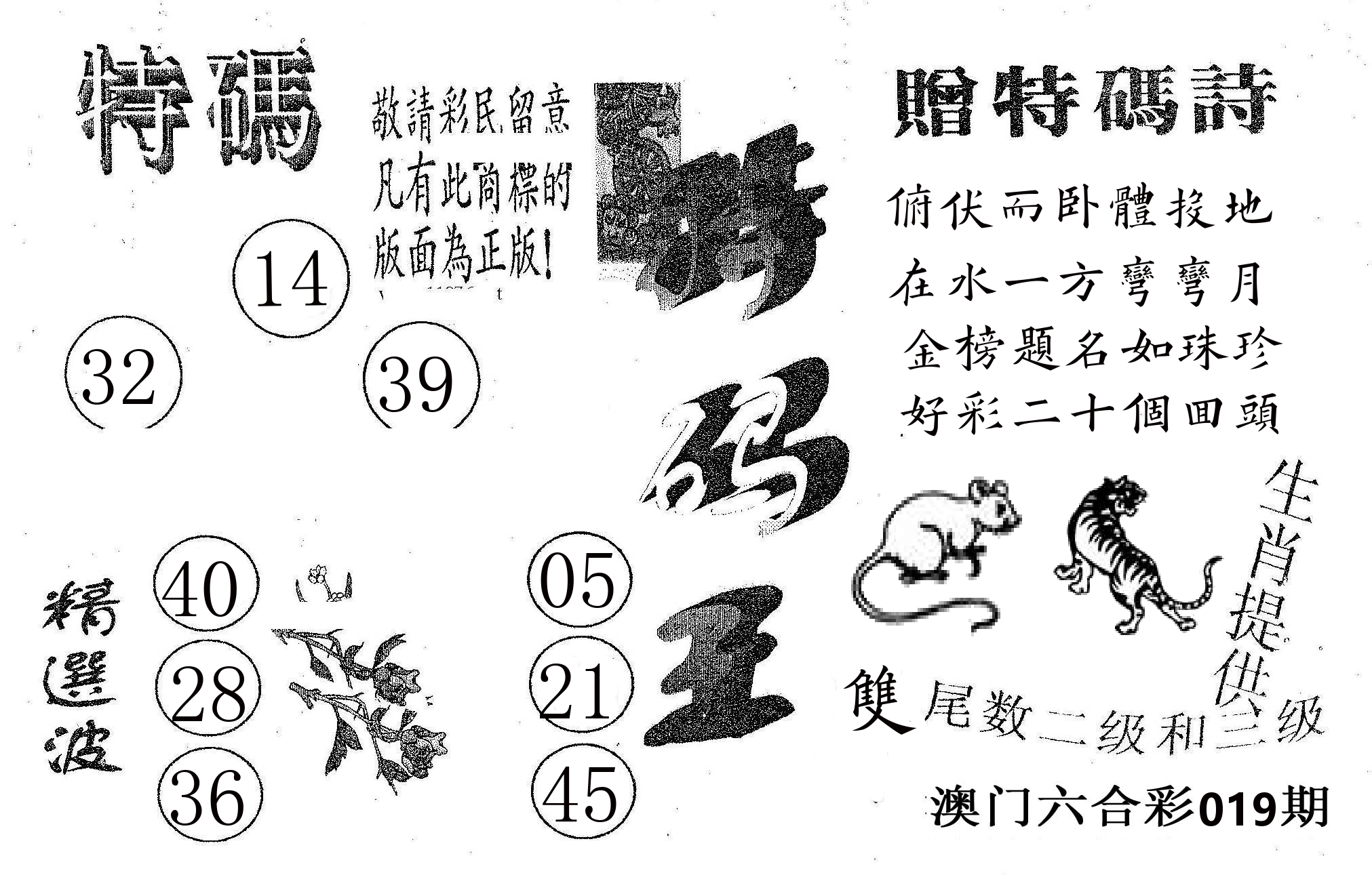 特码王A 第19期