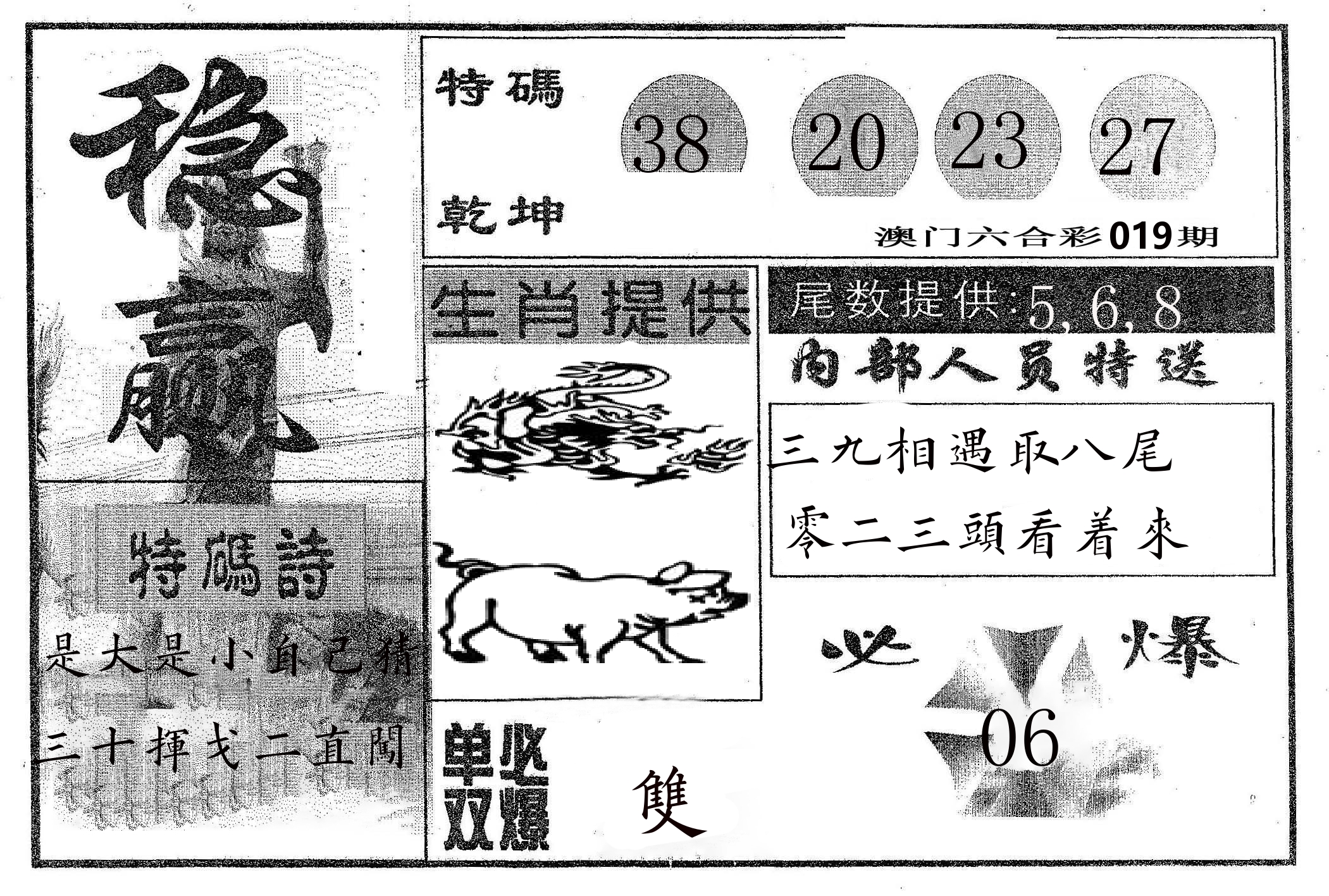 稳赢 第19期