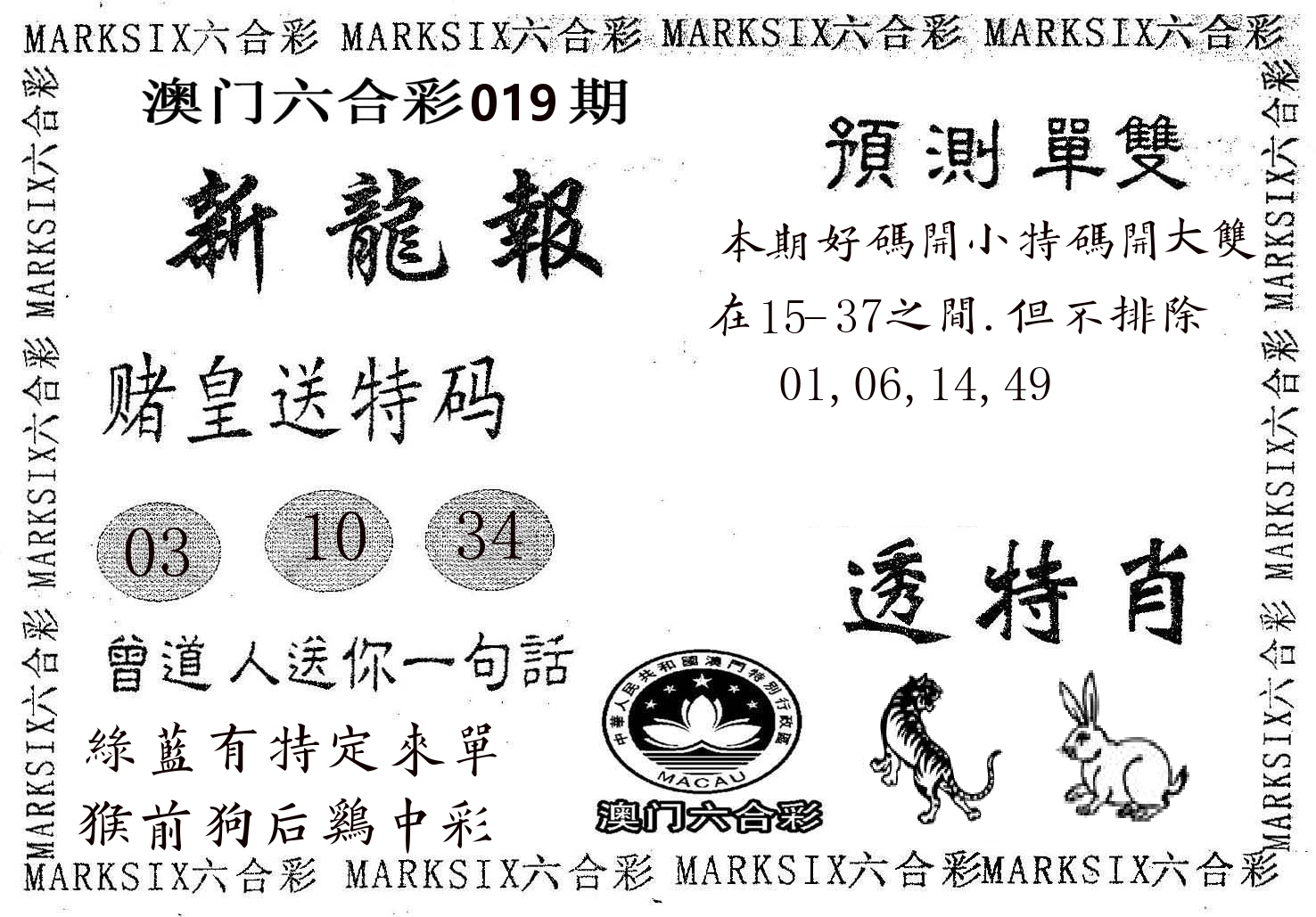 新龙报 第19期