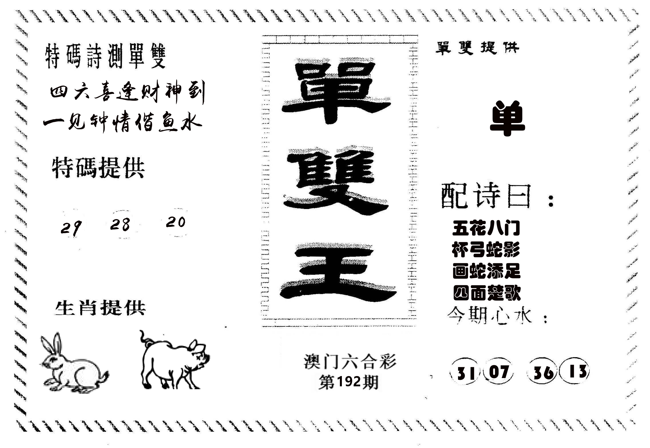 单双王B 第192期