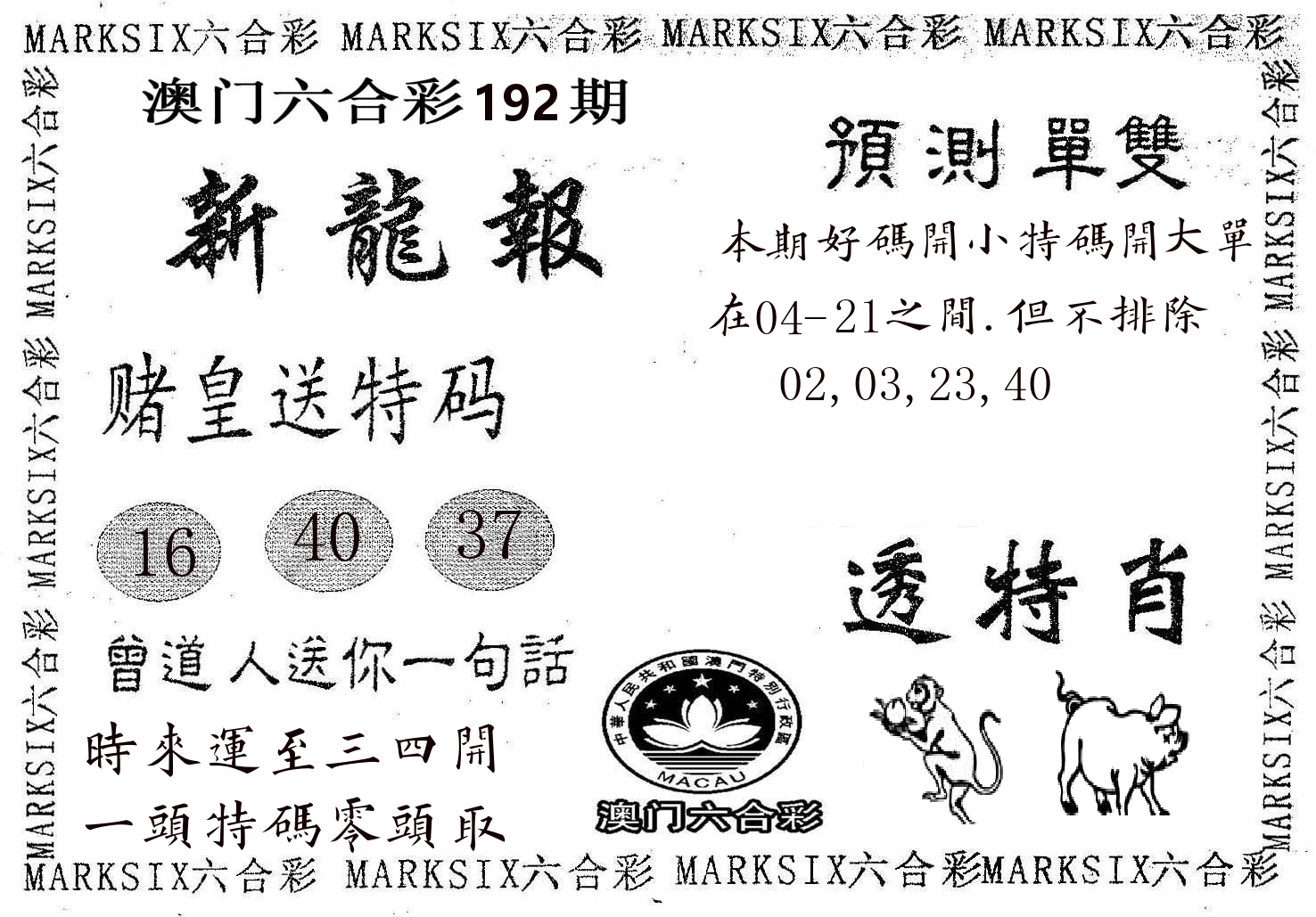 新龙报 第192期