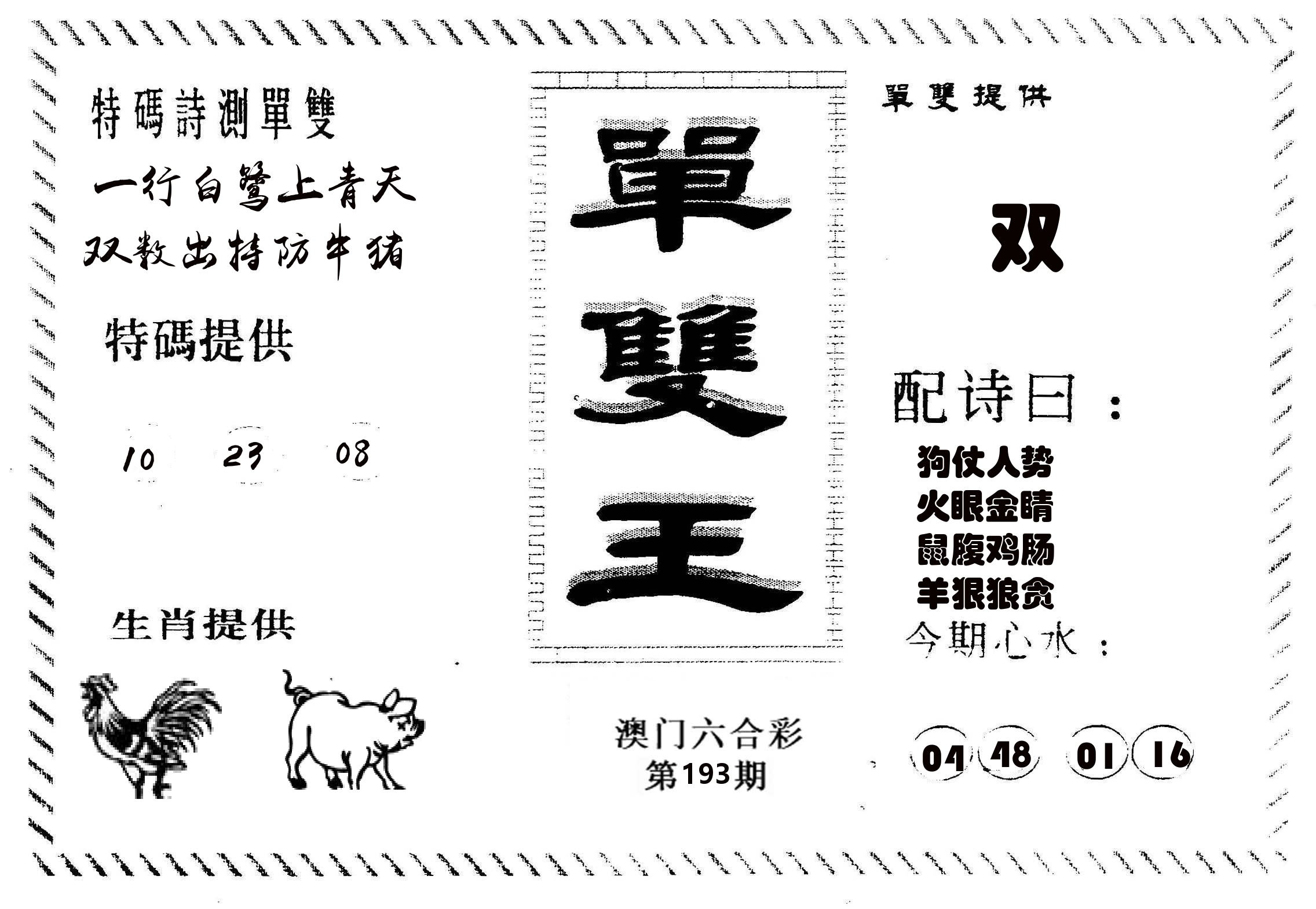 单双王B 第193期